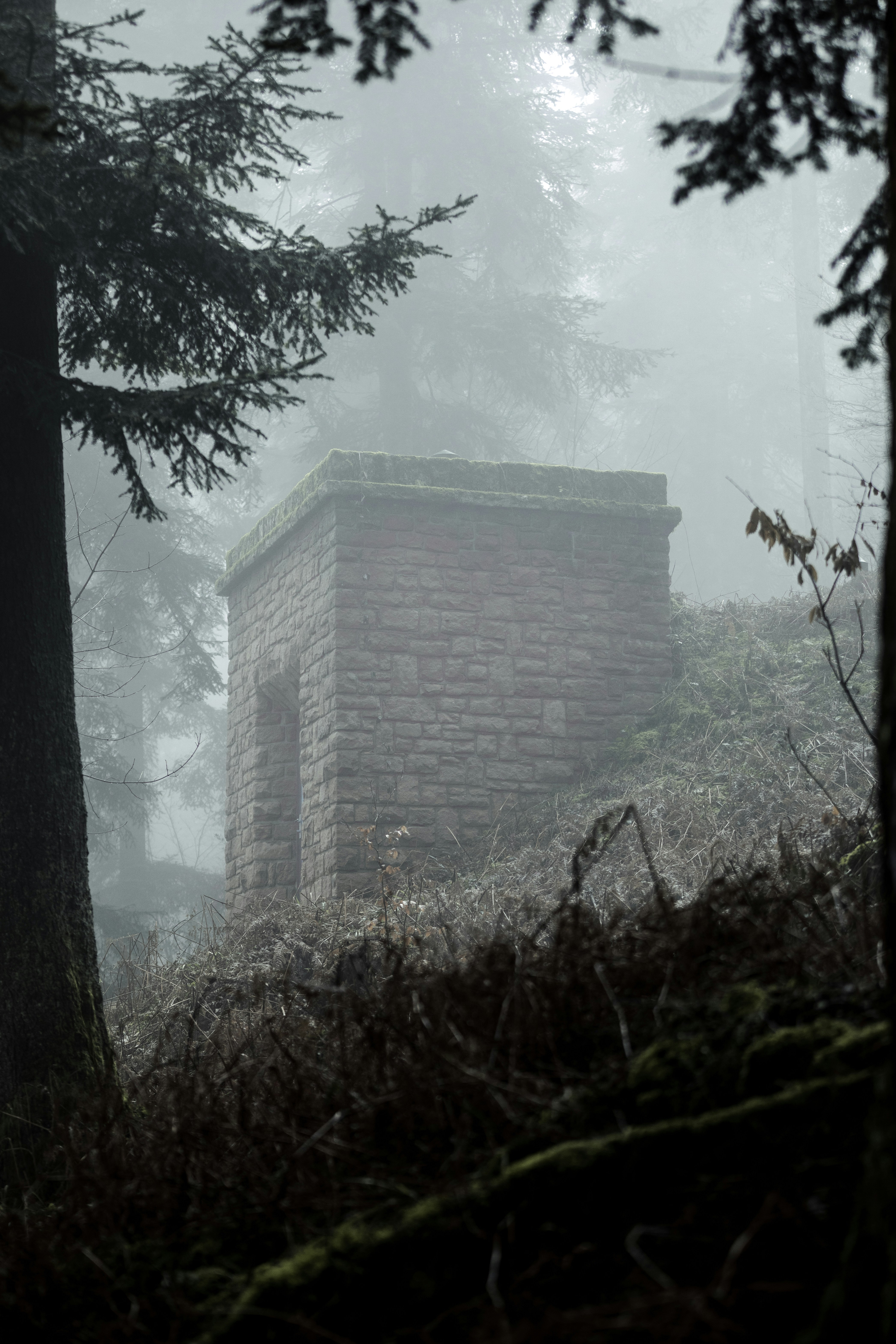 Stone structure in a foggy forest setting.