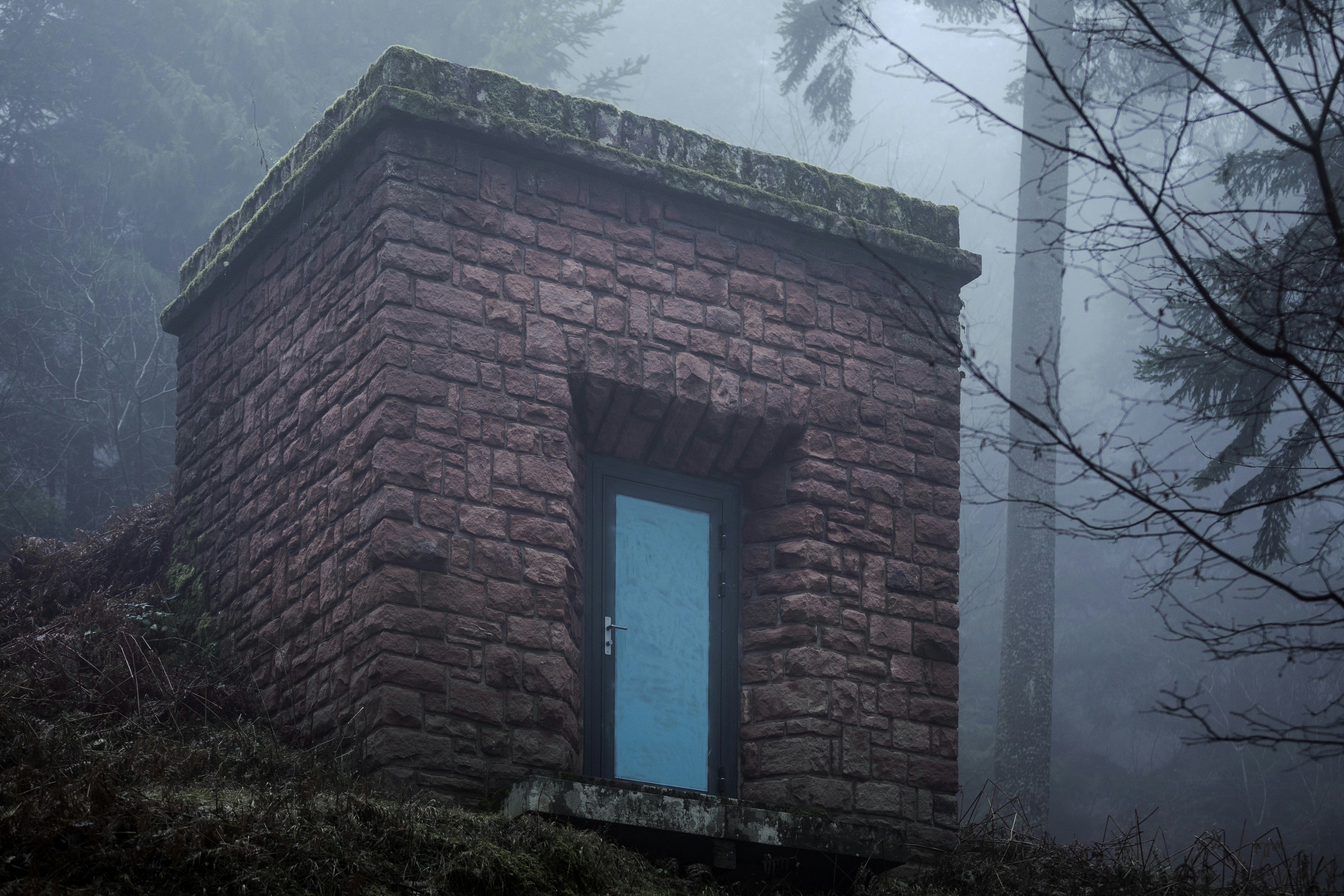 Stone building with blue door in foggy forest