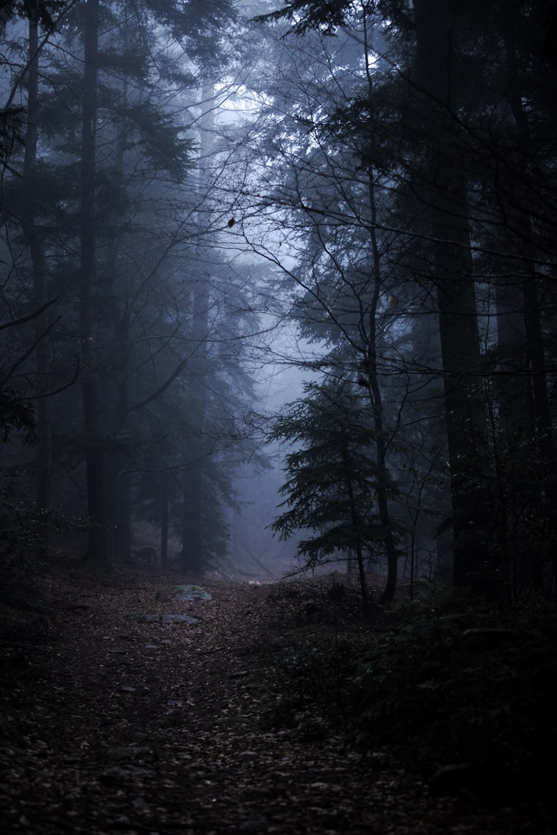 Nature & Solitude