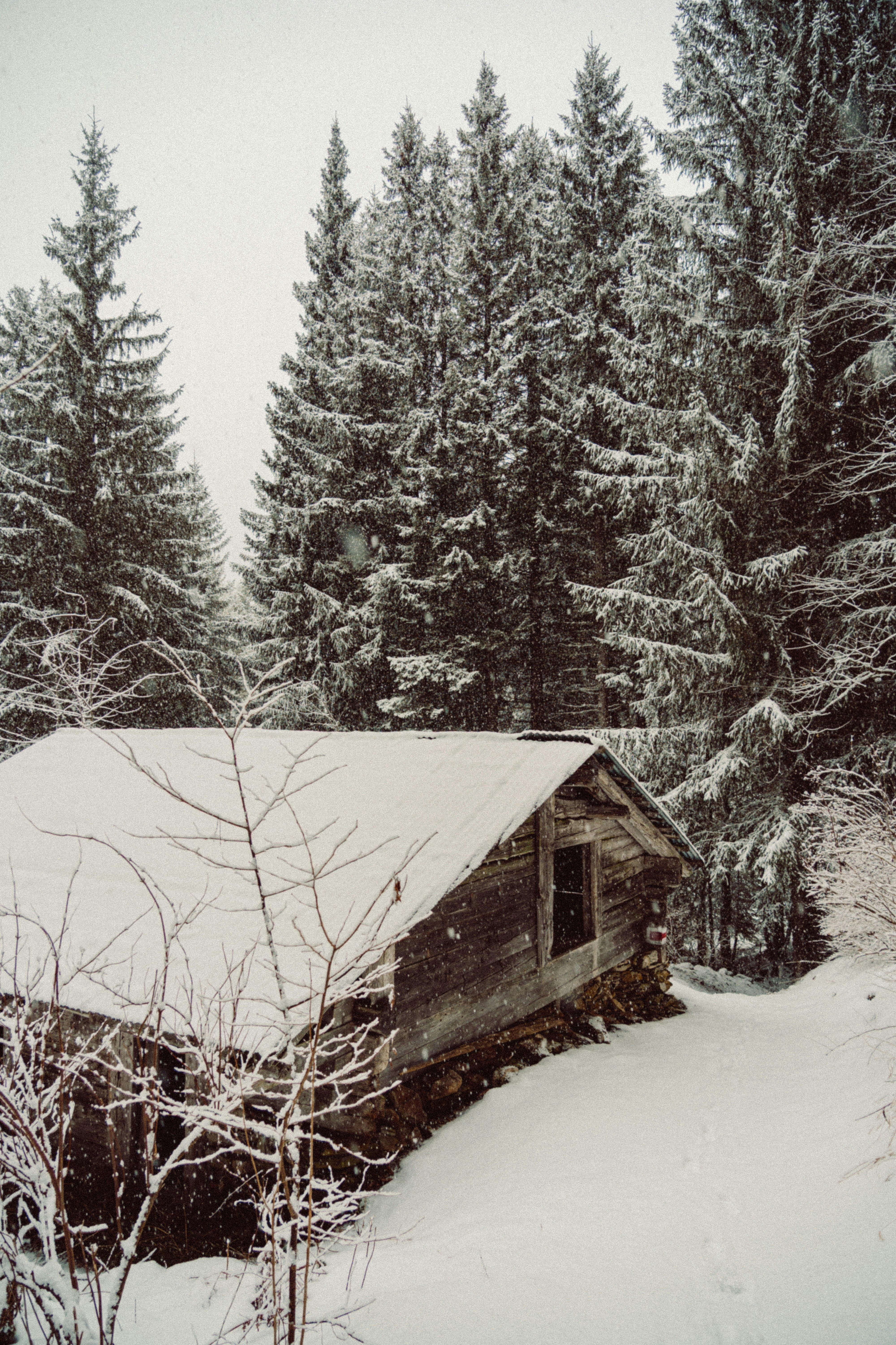 Photo by felixvericel