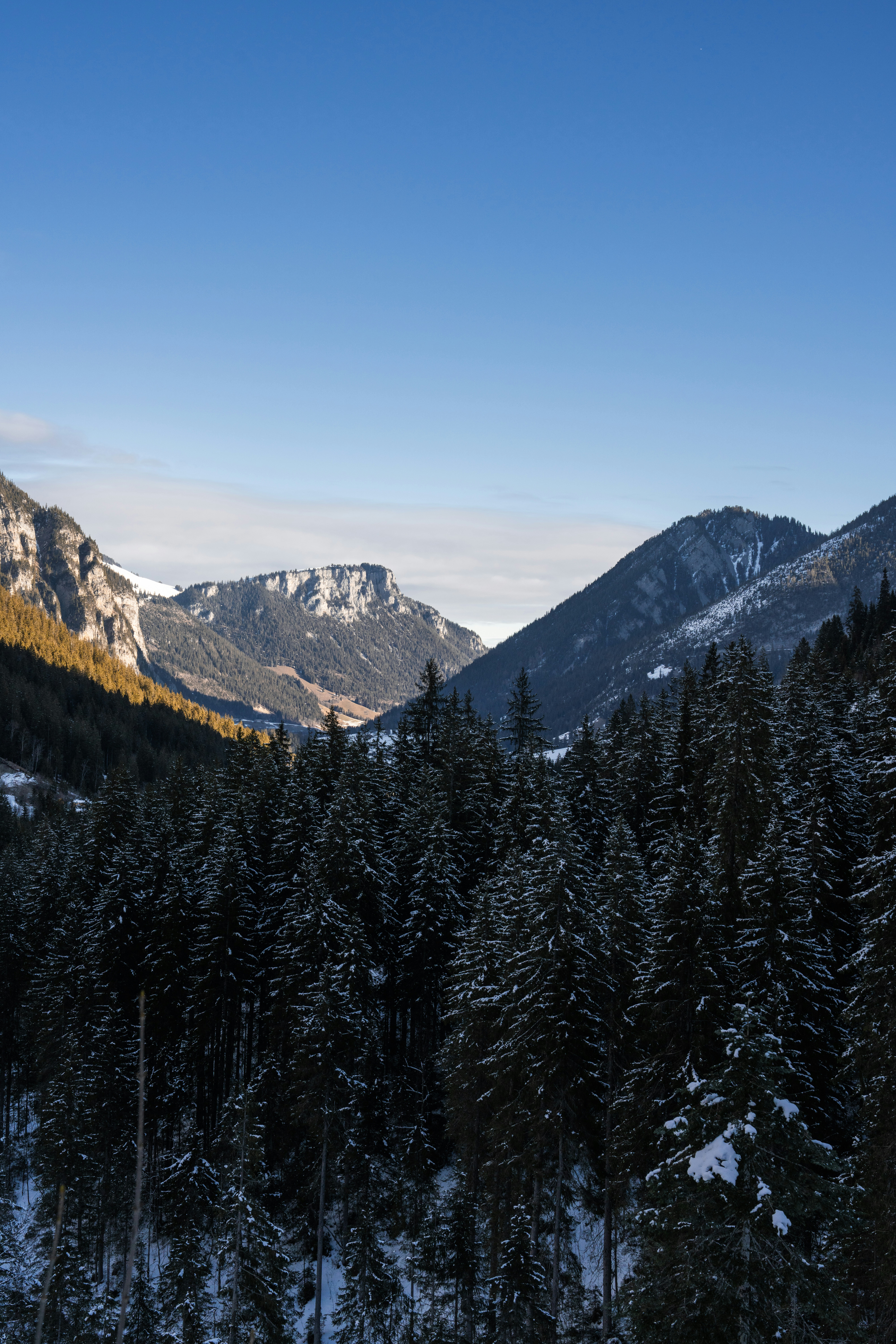 Photo by liviaphotographs