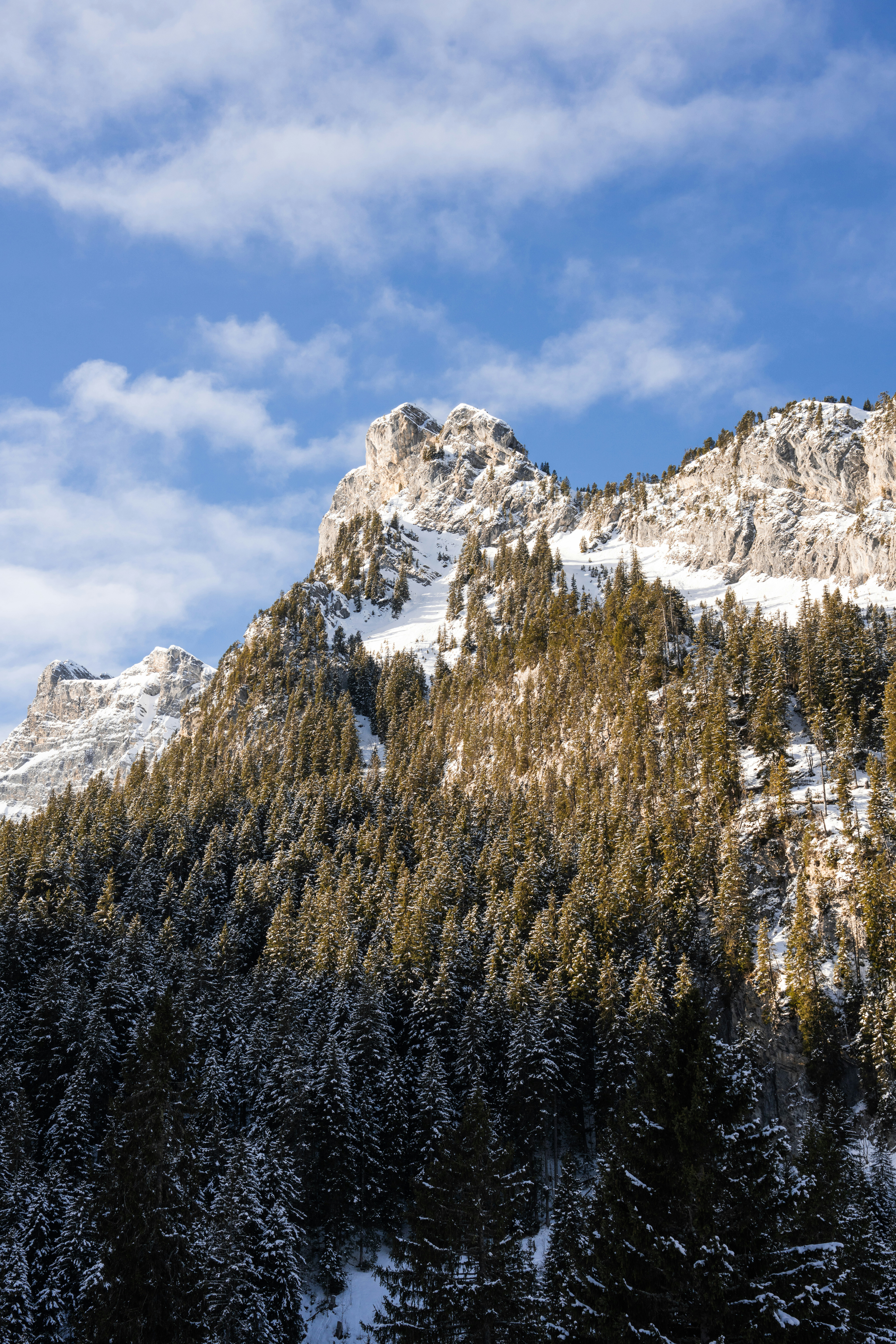 Photo by liviaphotographs