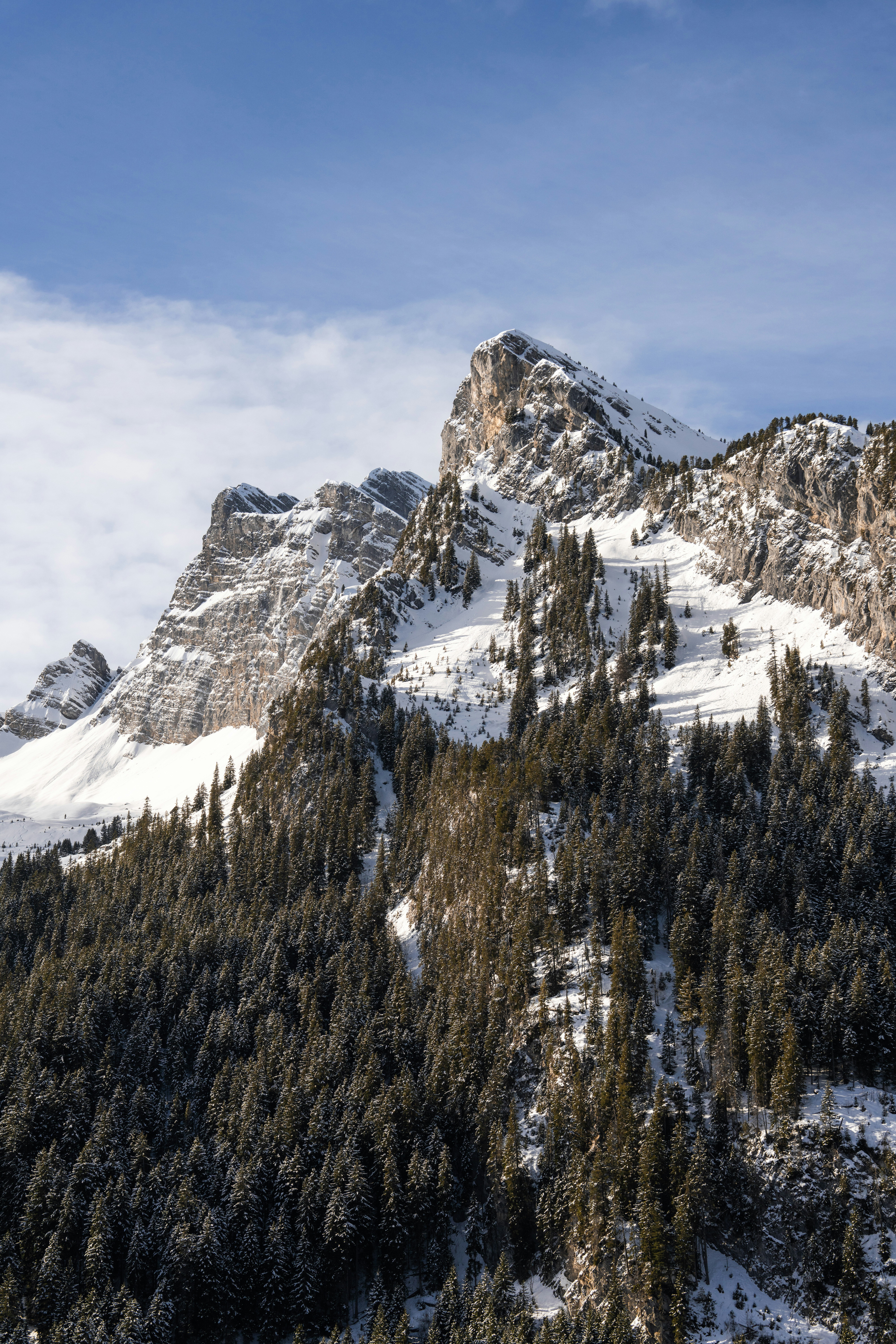 Photo by liviaphotographs