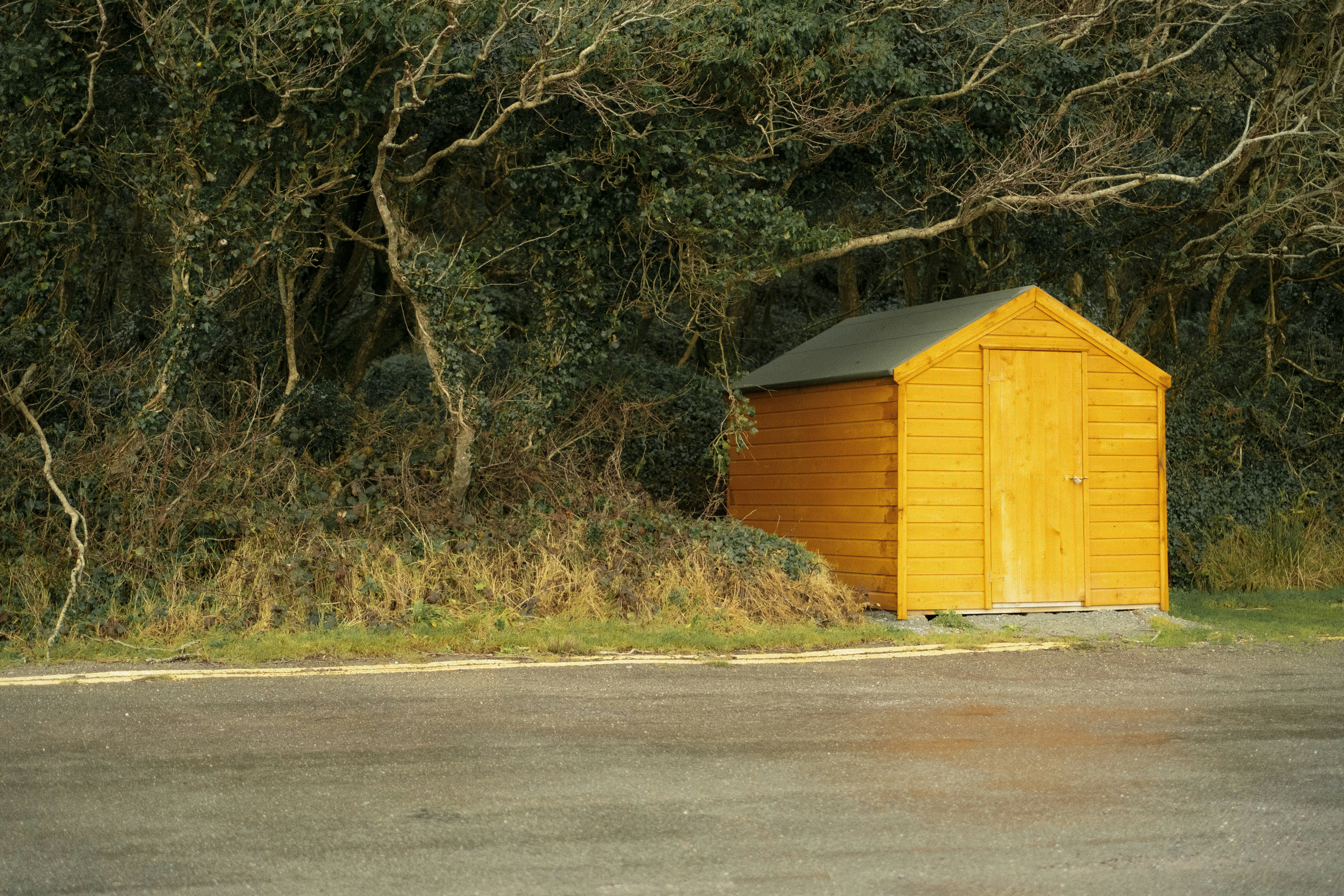 Alternatives & Price Landscape: Where Woodbridge Plus Fits