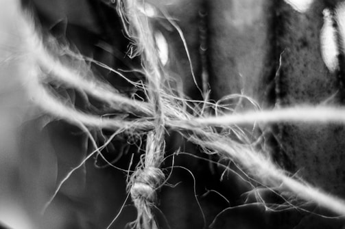 Abstract close-up of tangled fibrous threads in black and white