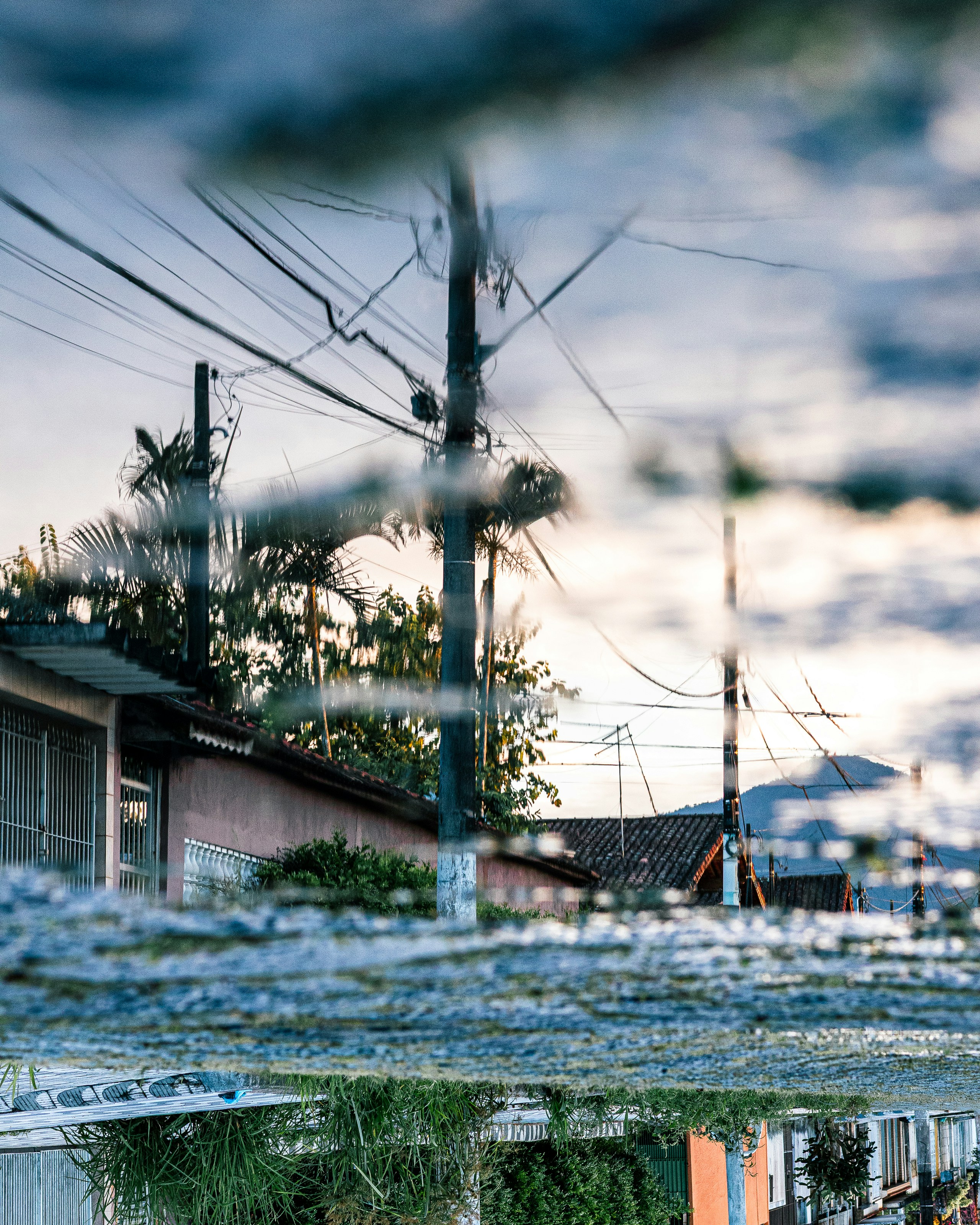 Reflection of telephone poles and buildings in water