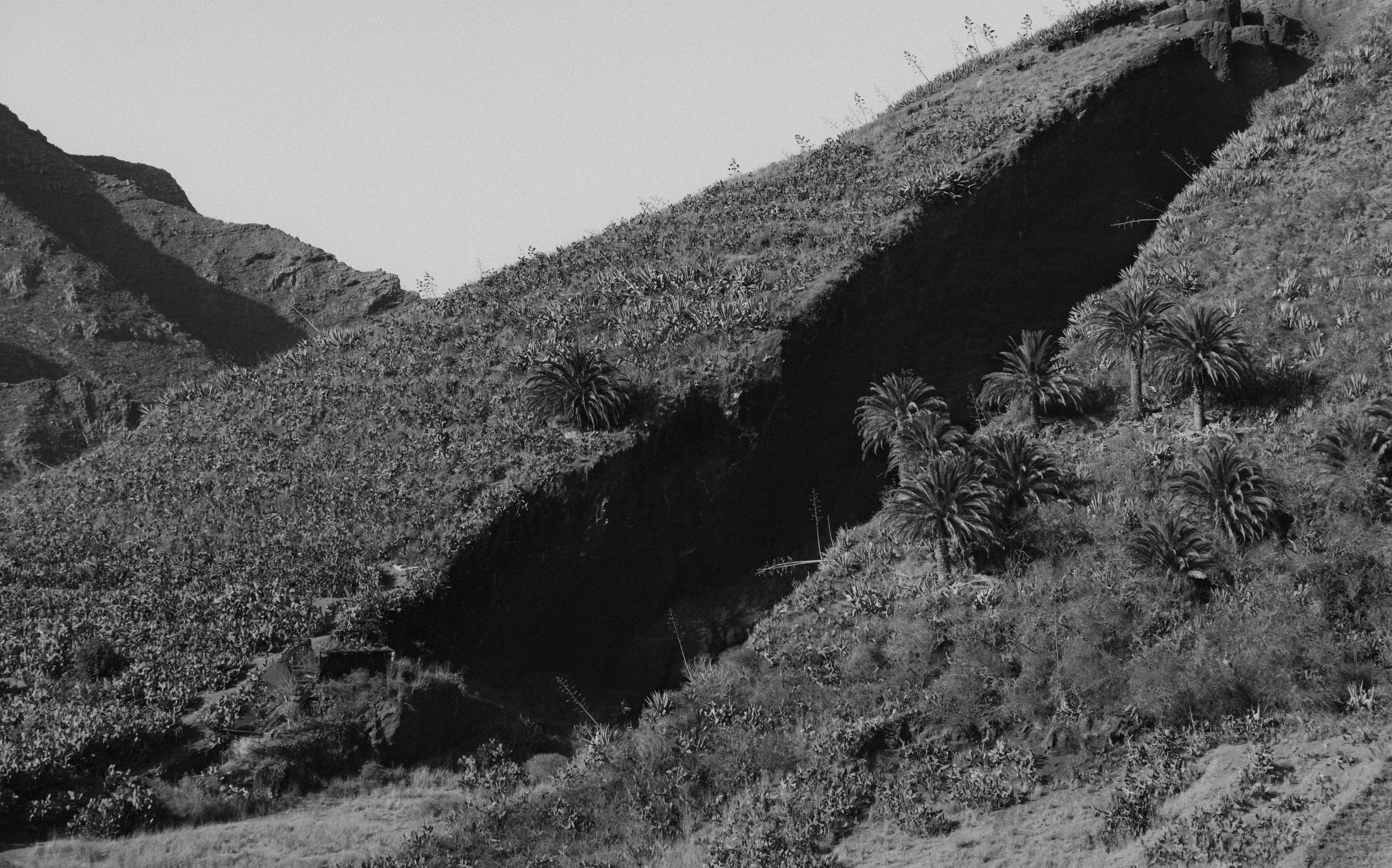 Photo by alexsafareli