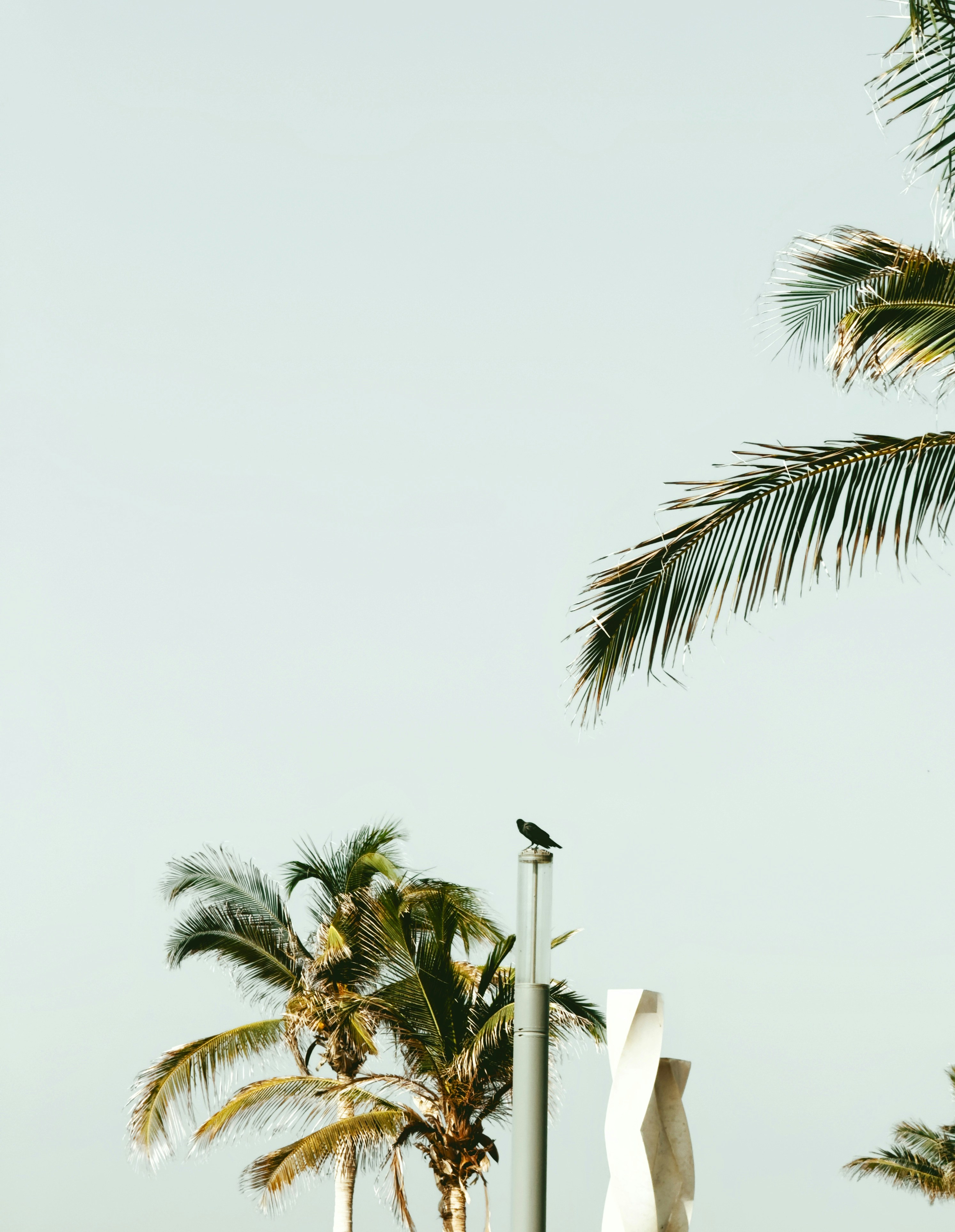 Ayman Rakib (@mr_ayman) | Komunitas Foto Unsplash