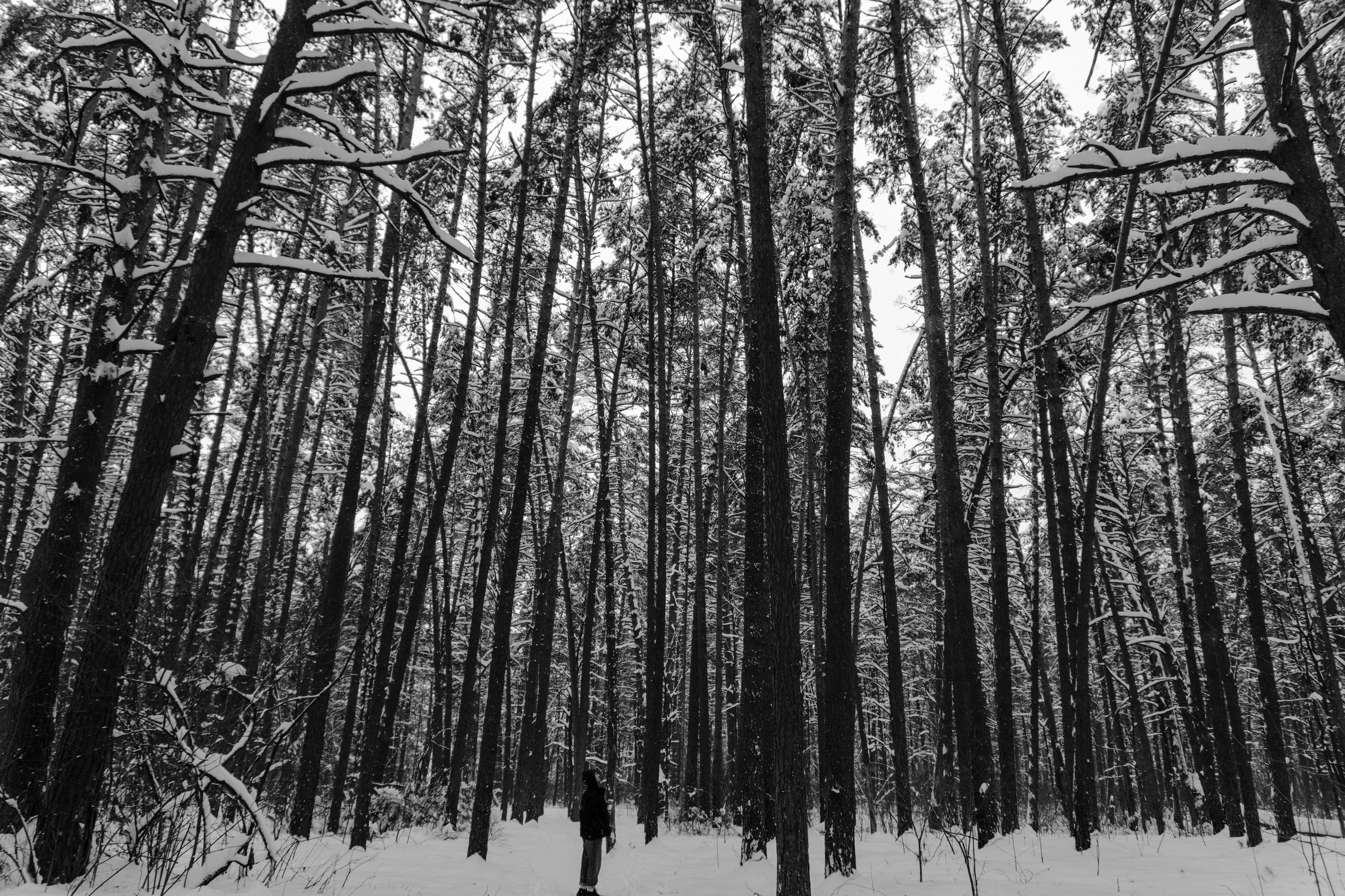 Photo by kulikovnik2