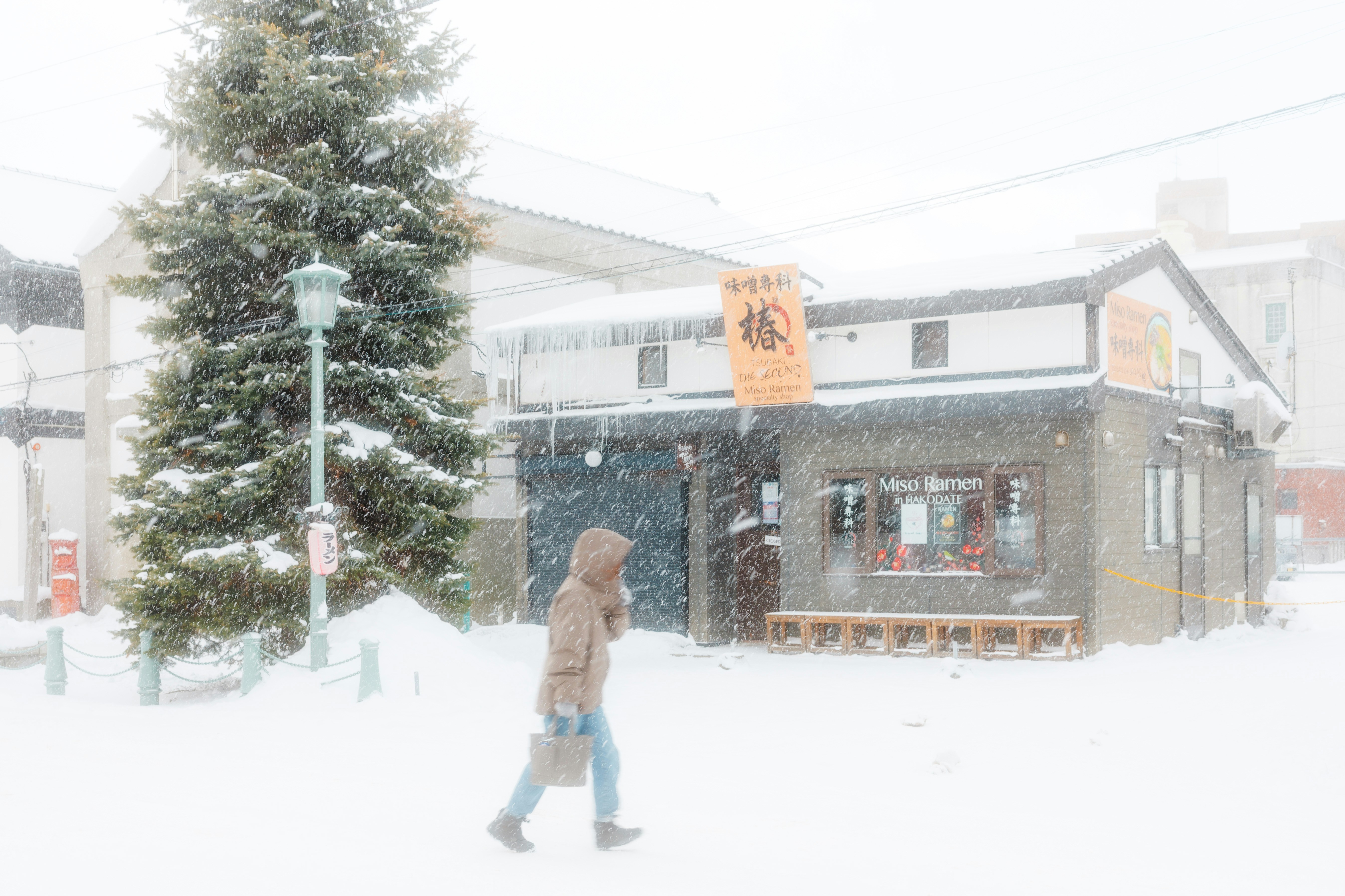 Person walks in a heavy snowfall near a building.