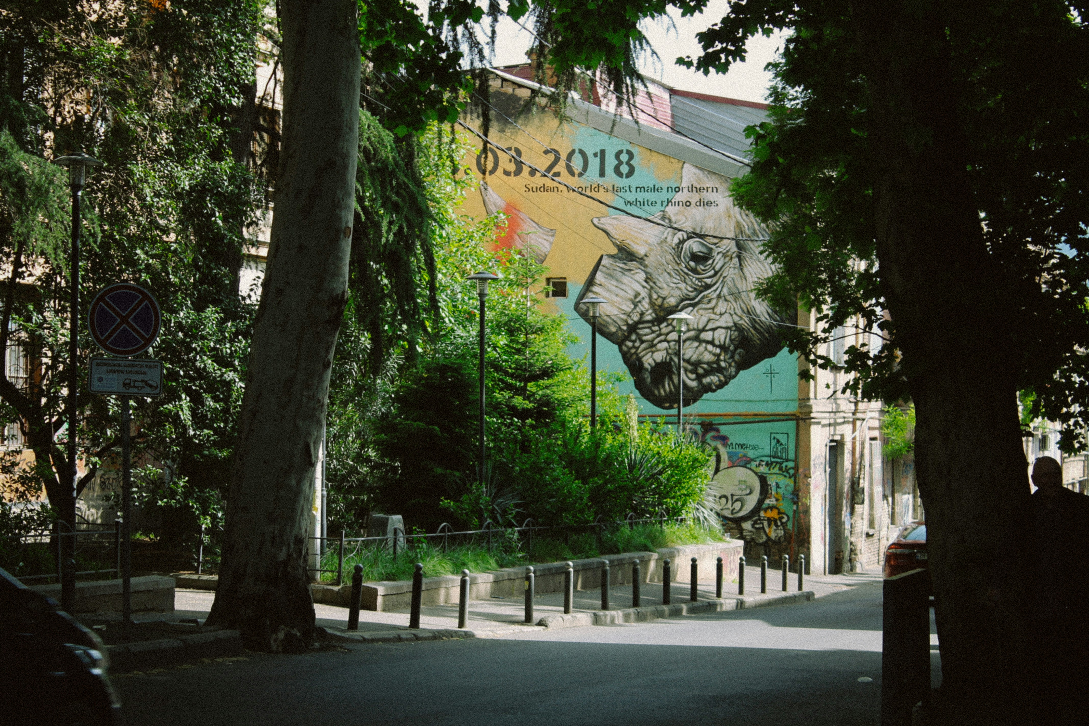 Mural of a rhinoceros head on a building wall.