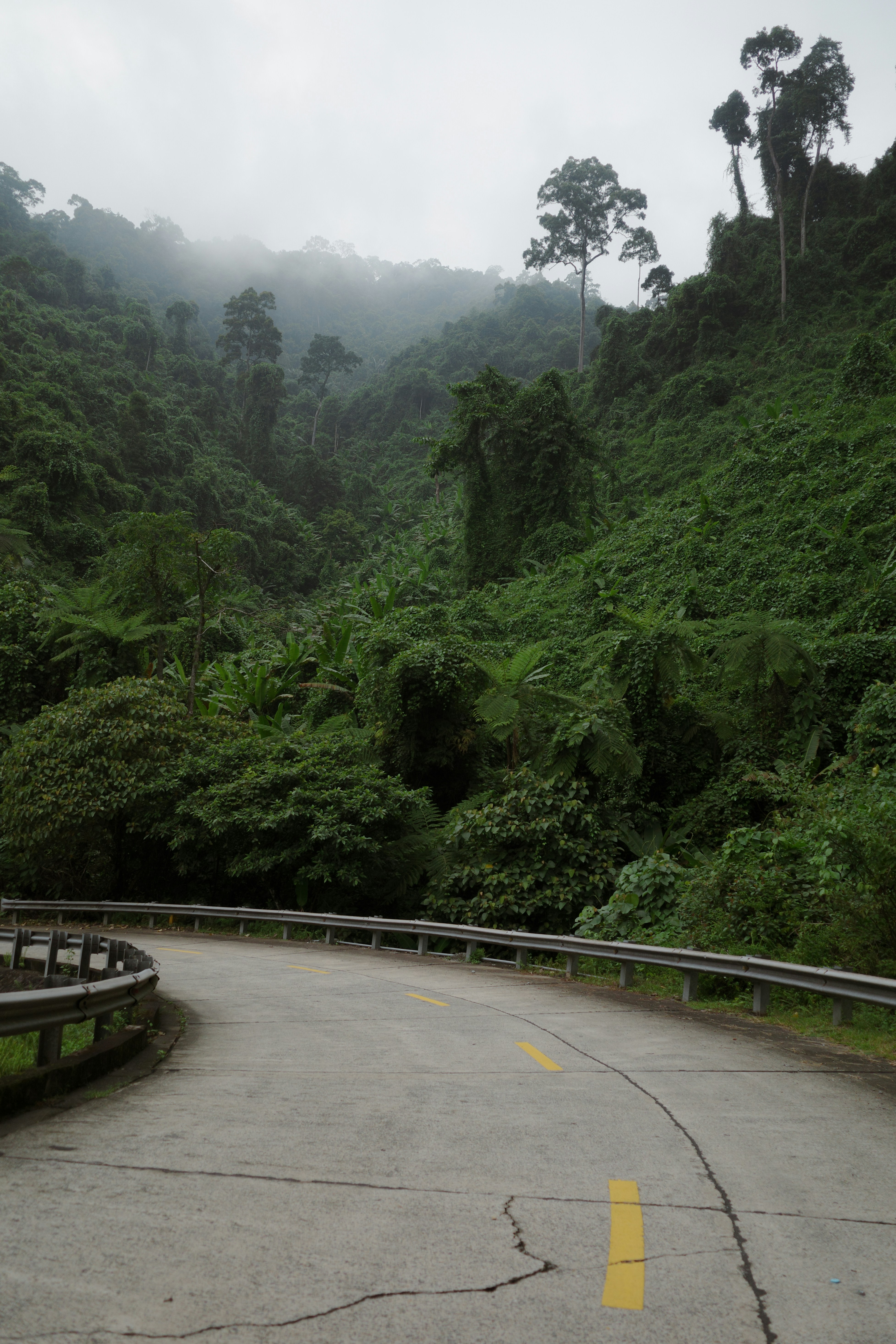 Photo by alexsafareli