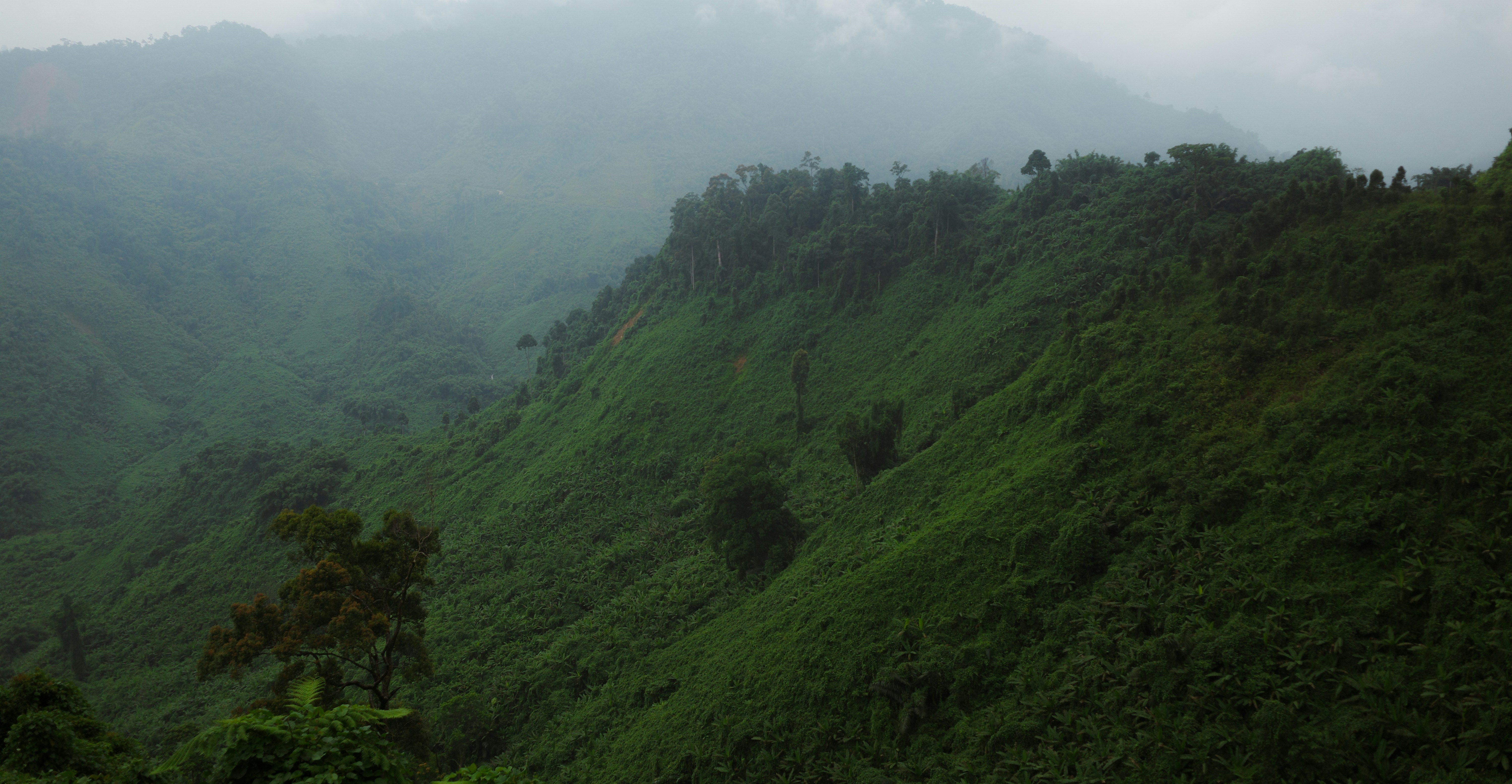 Photo by alexsafareli