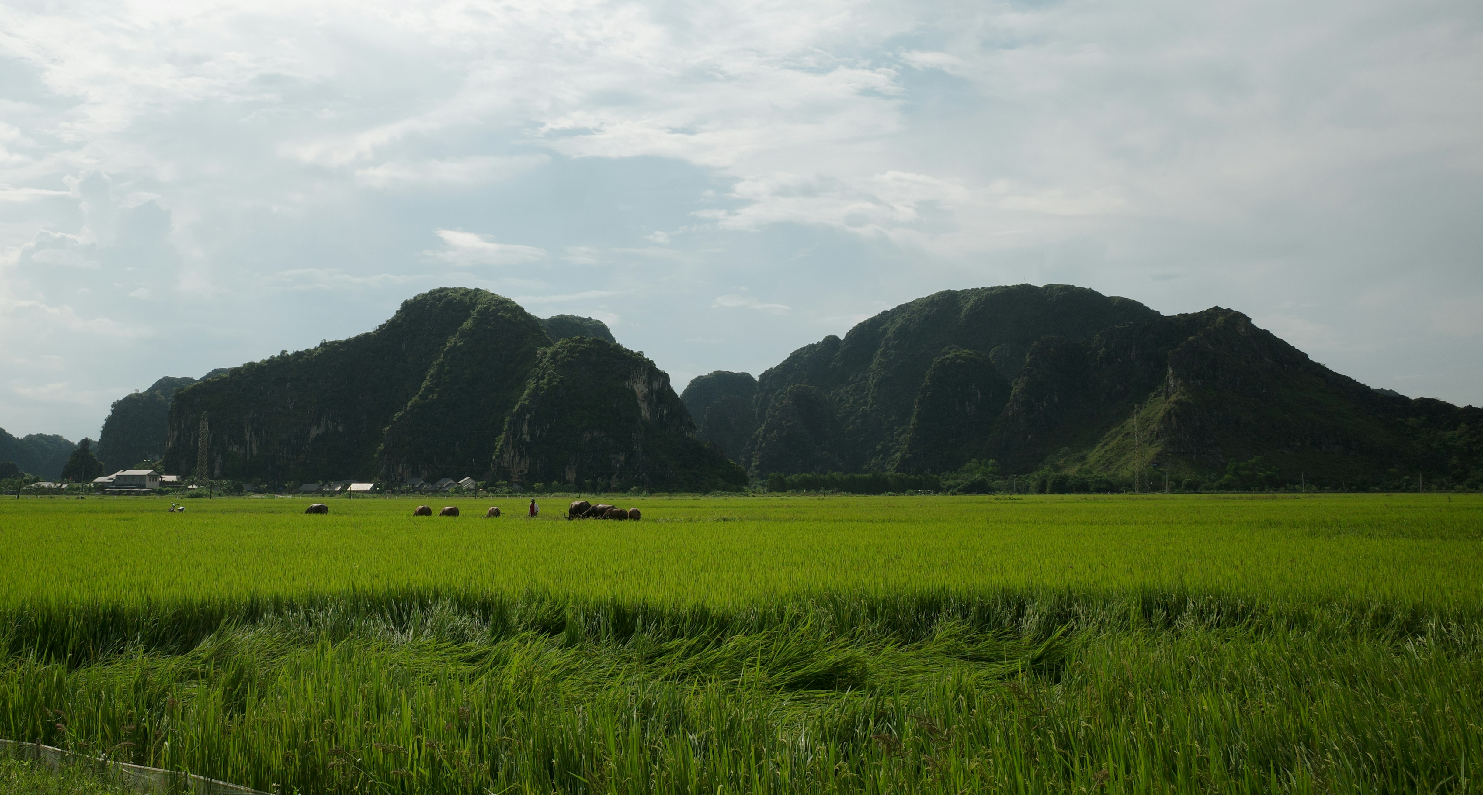 Photo by alexsafareli