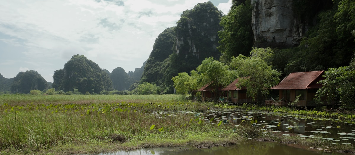 hidden villages china - rustic huts beside rice paddy