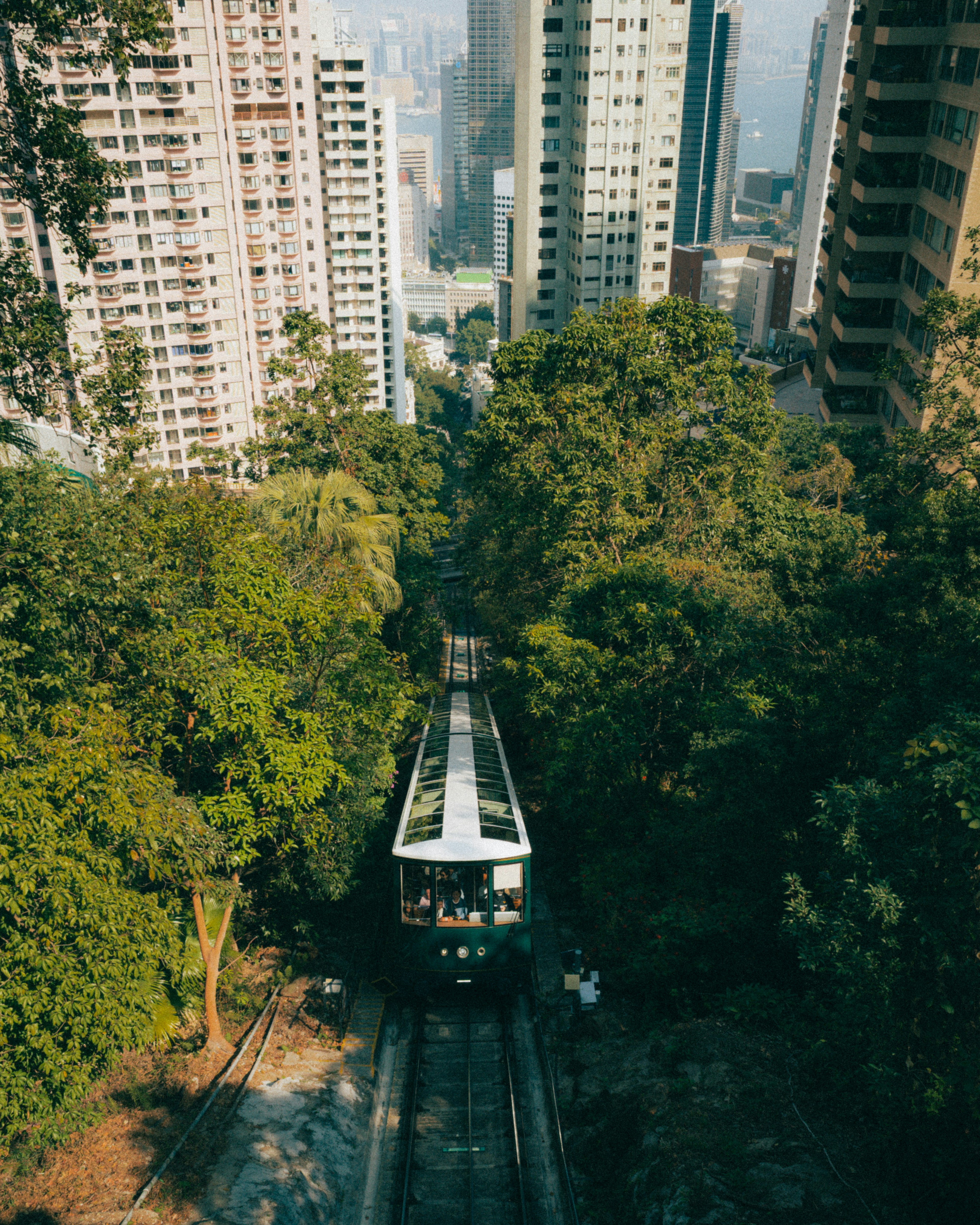 Photo by alexsafareli