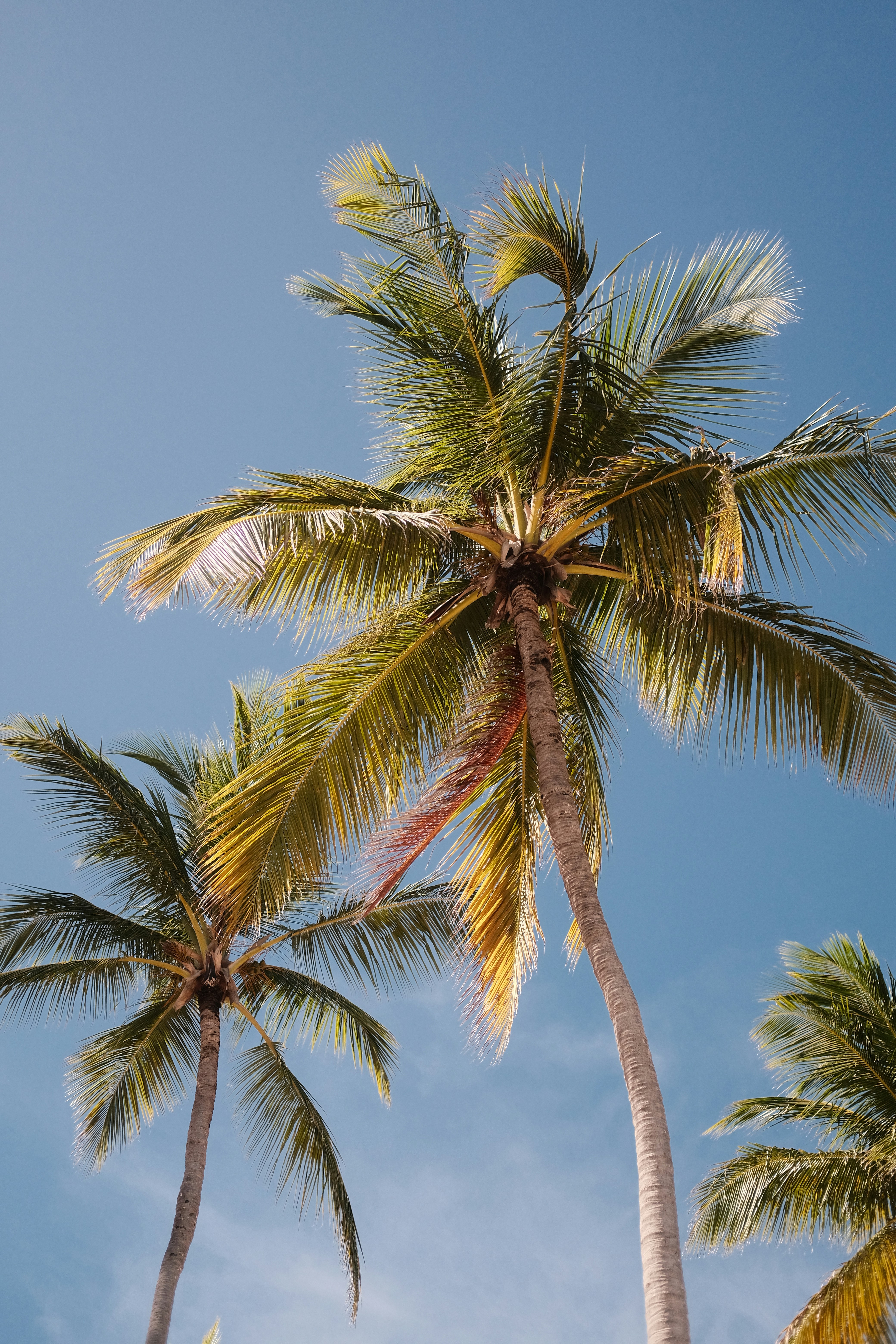 Photo by gianfrodriguez