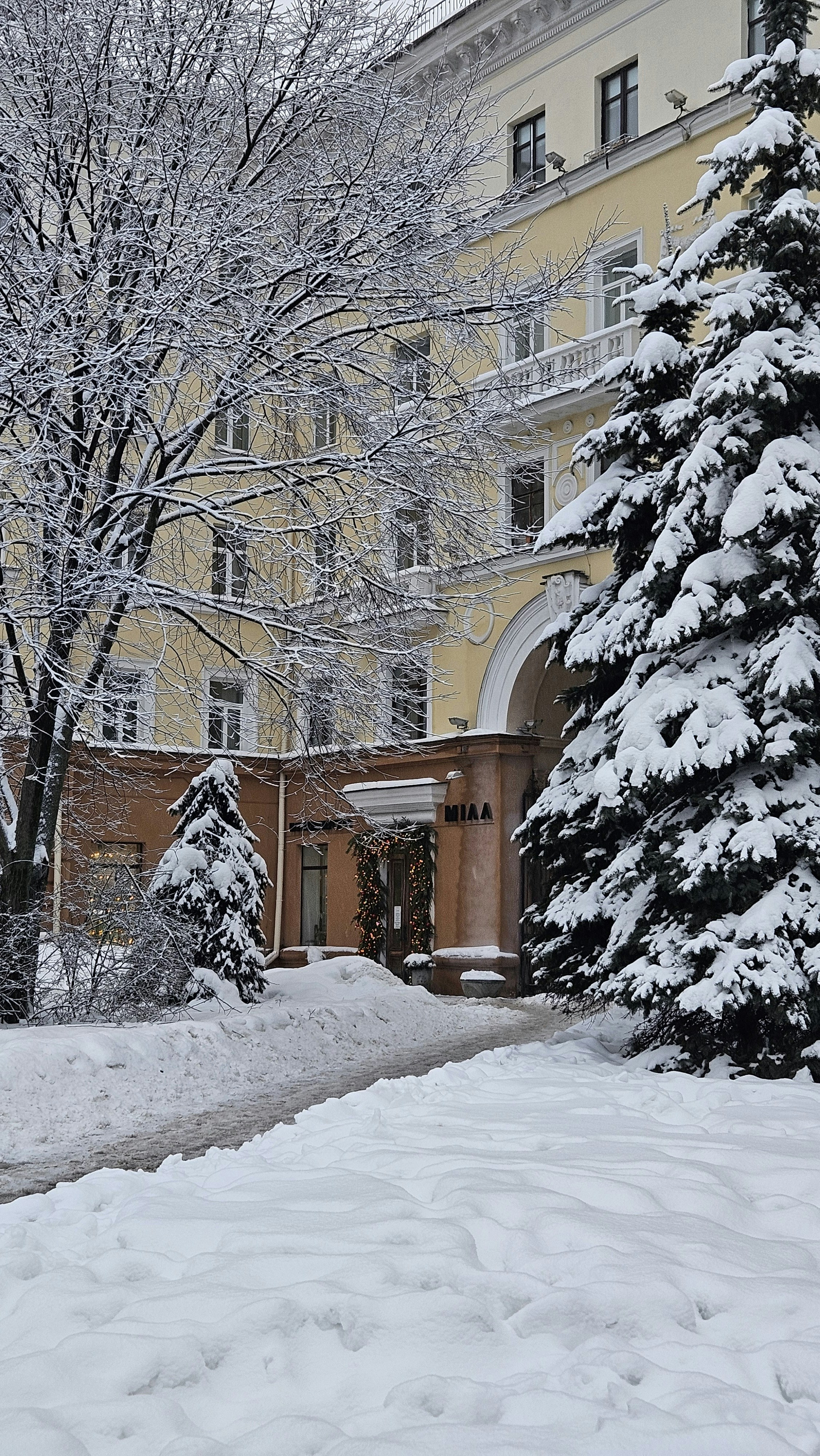 Snow covered trees and building entrance in winter