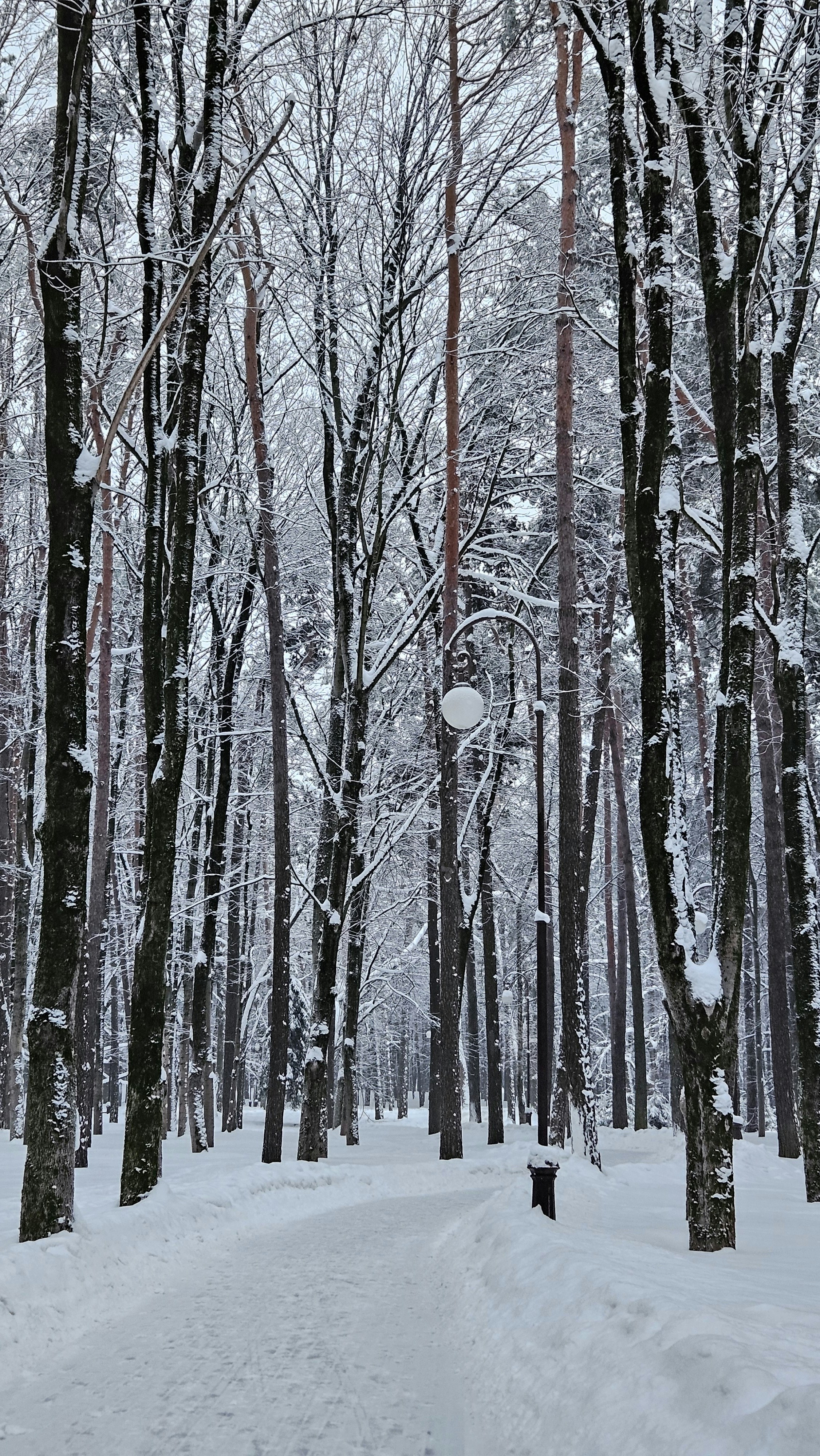 winter holiday wallpaper, wallpaper, Holiday Crafts for Adults with Disabilities 6