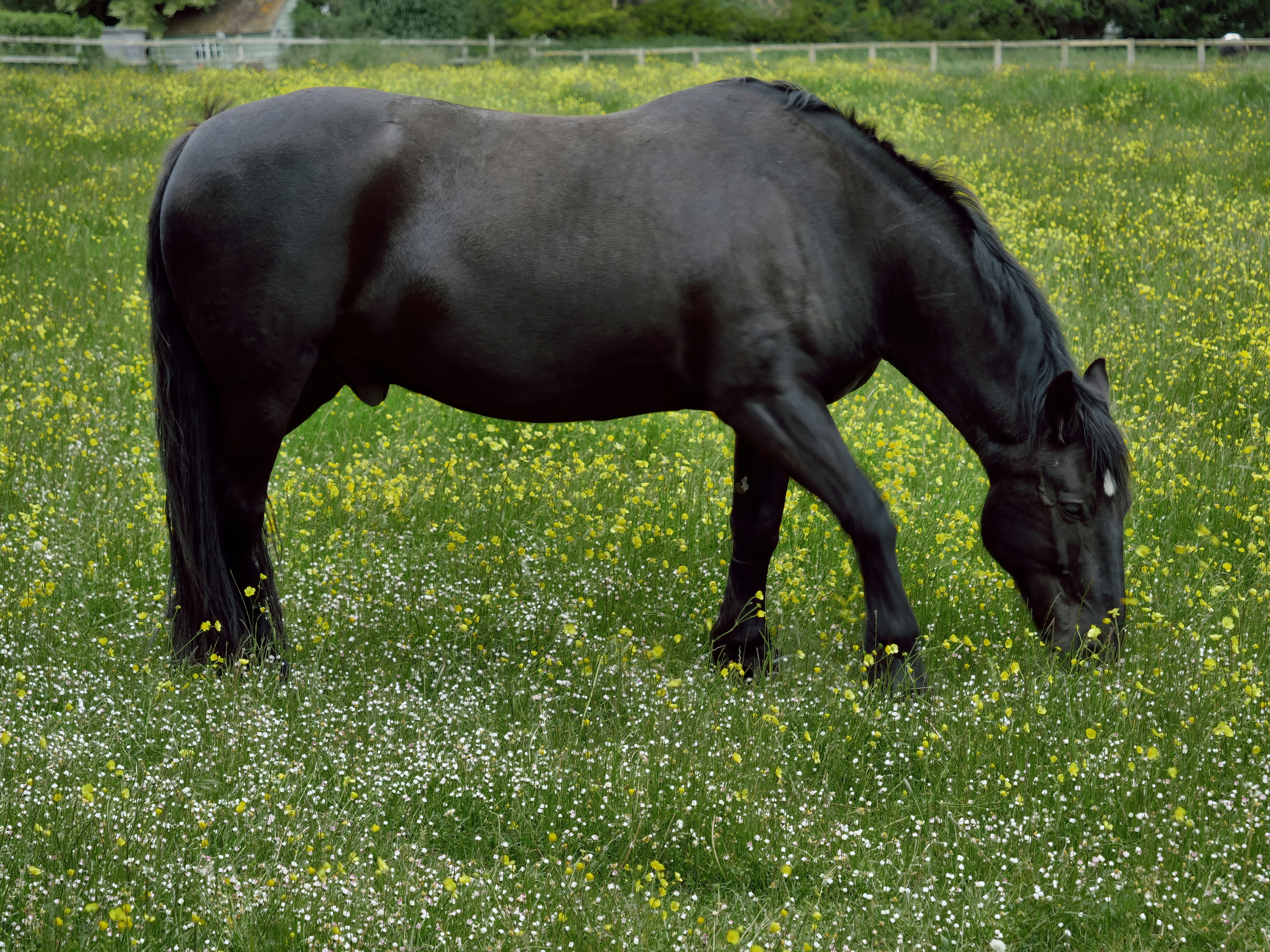 Photo by balmy_sunset