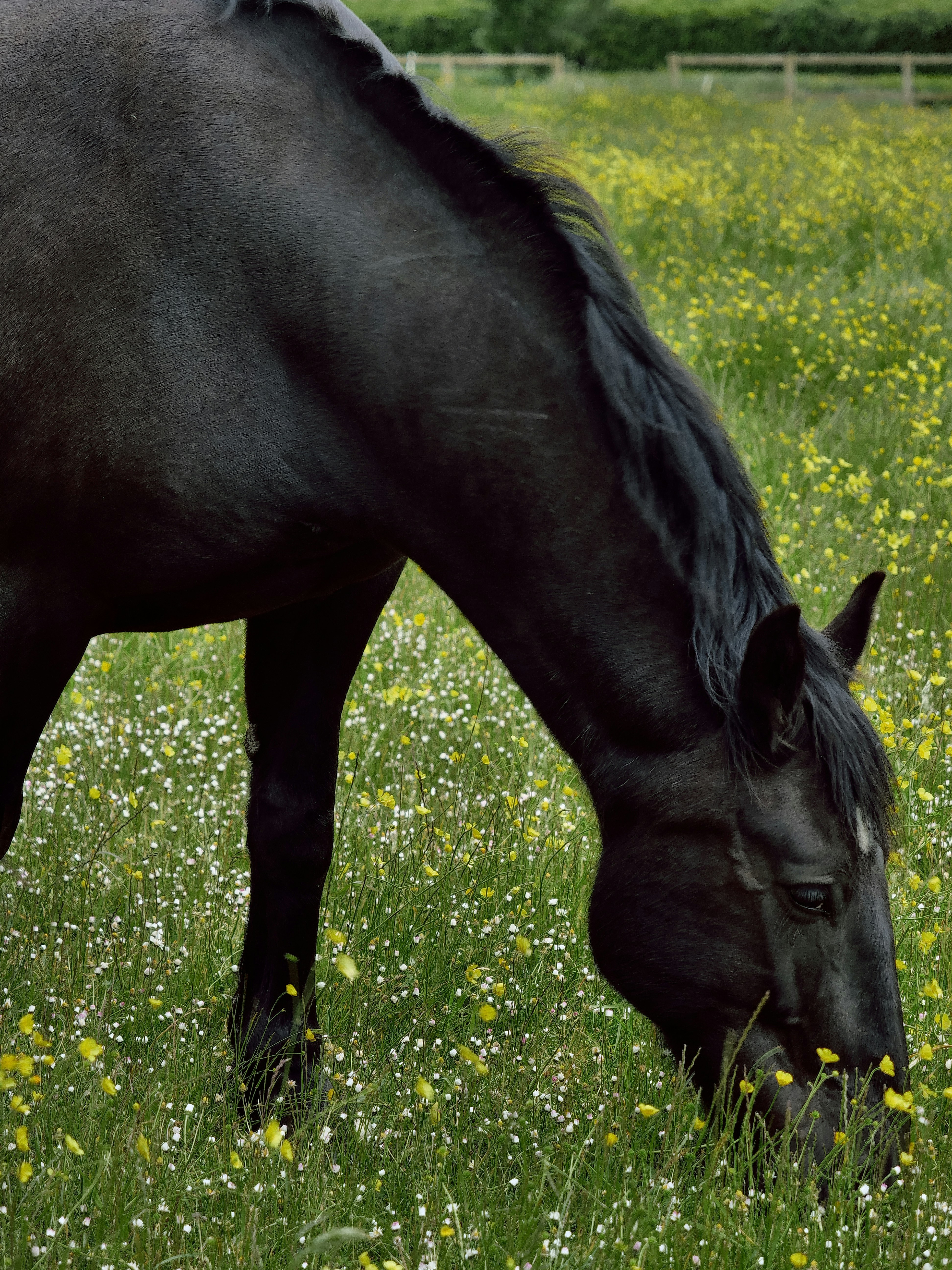 Photo by balmy_sunset