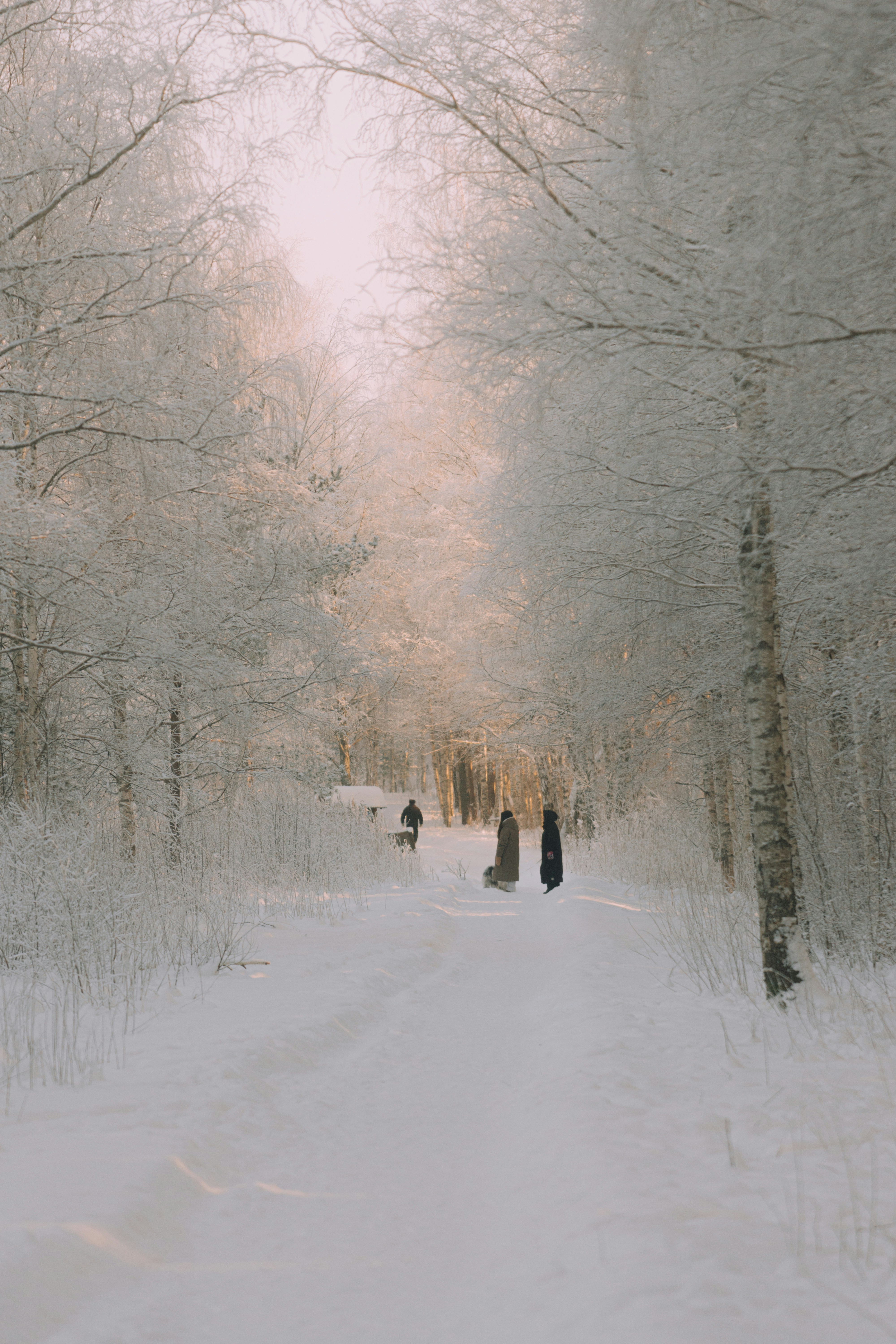 Photo of People walking on a snowy path through frosted trees. by Siim Lukka