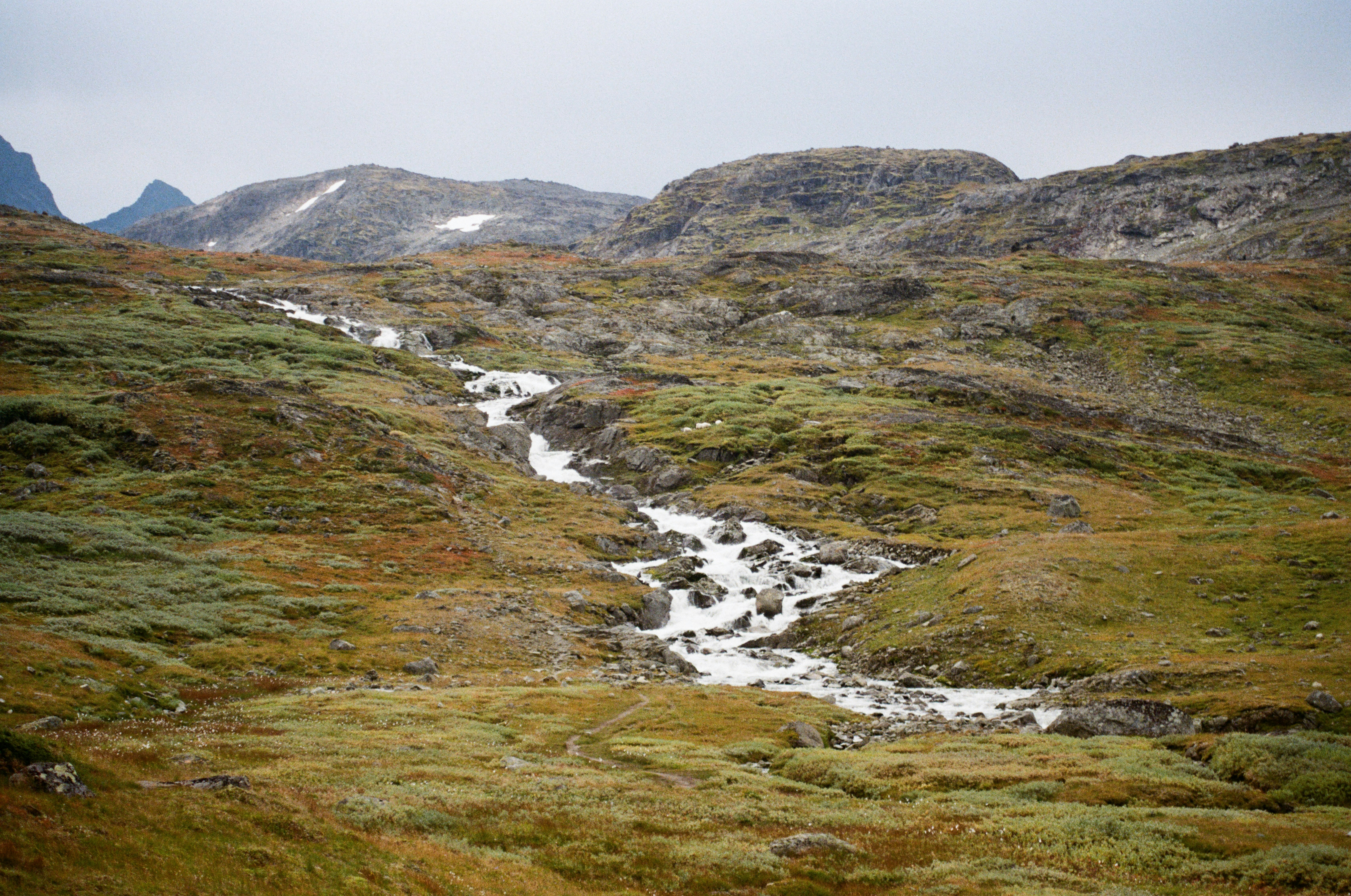 Photo by bernhardbar