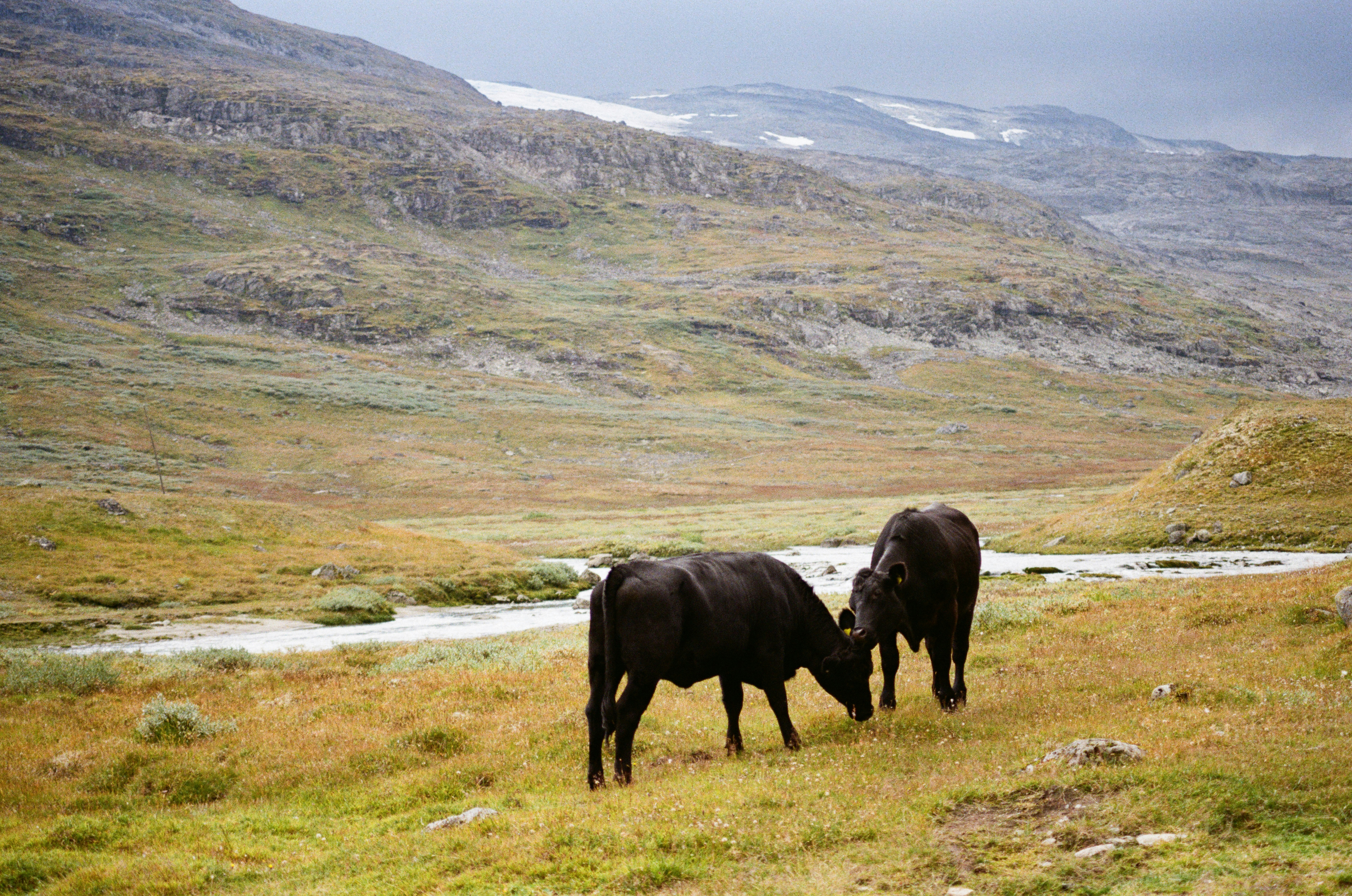 Photo by bernhardbar