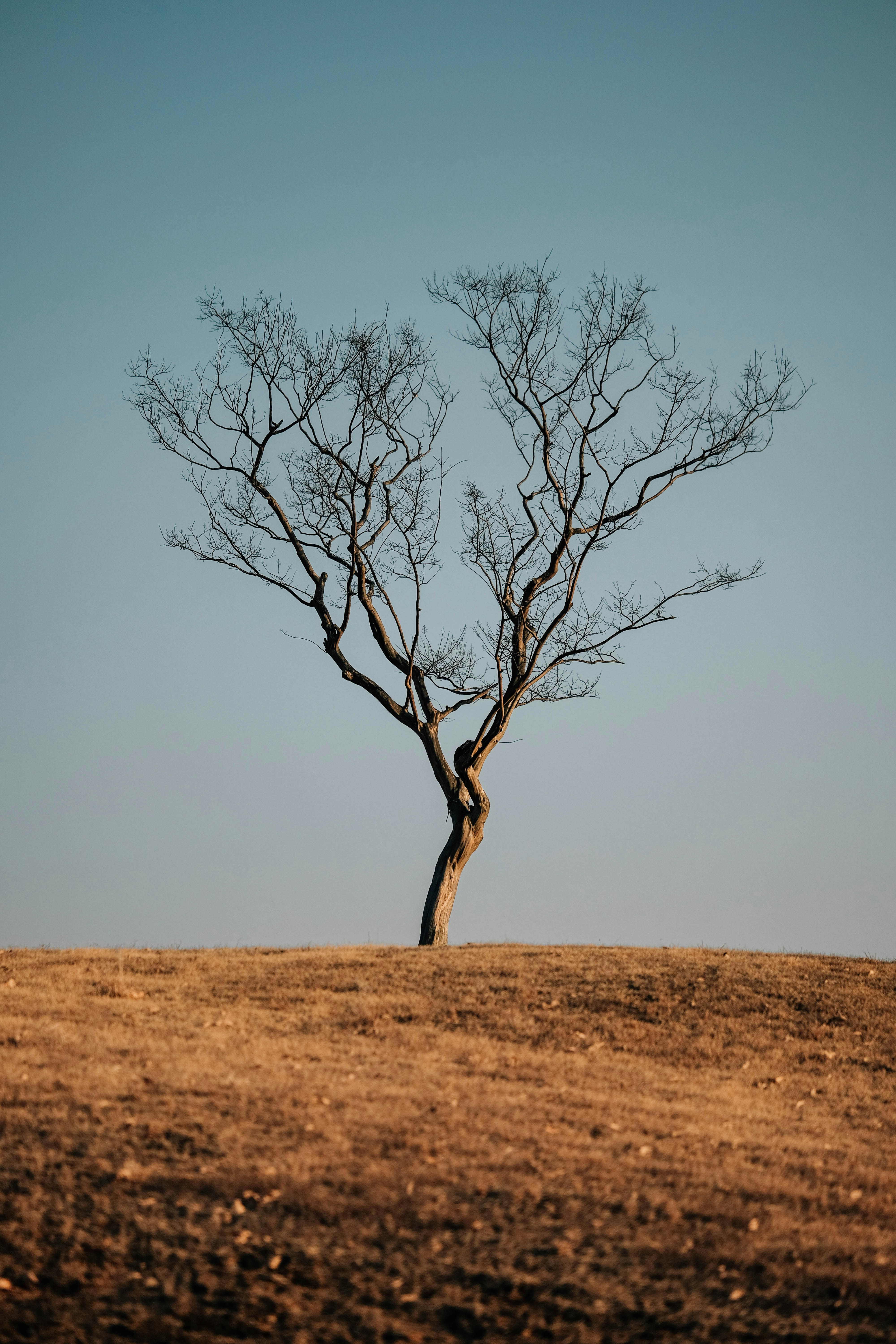 Photo by insungpandora