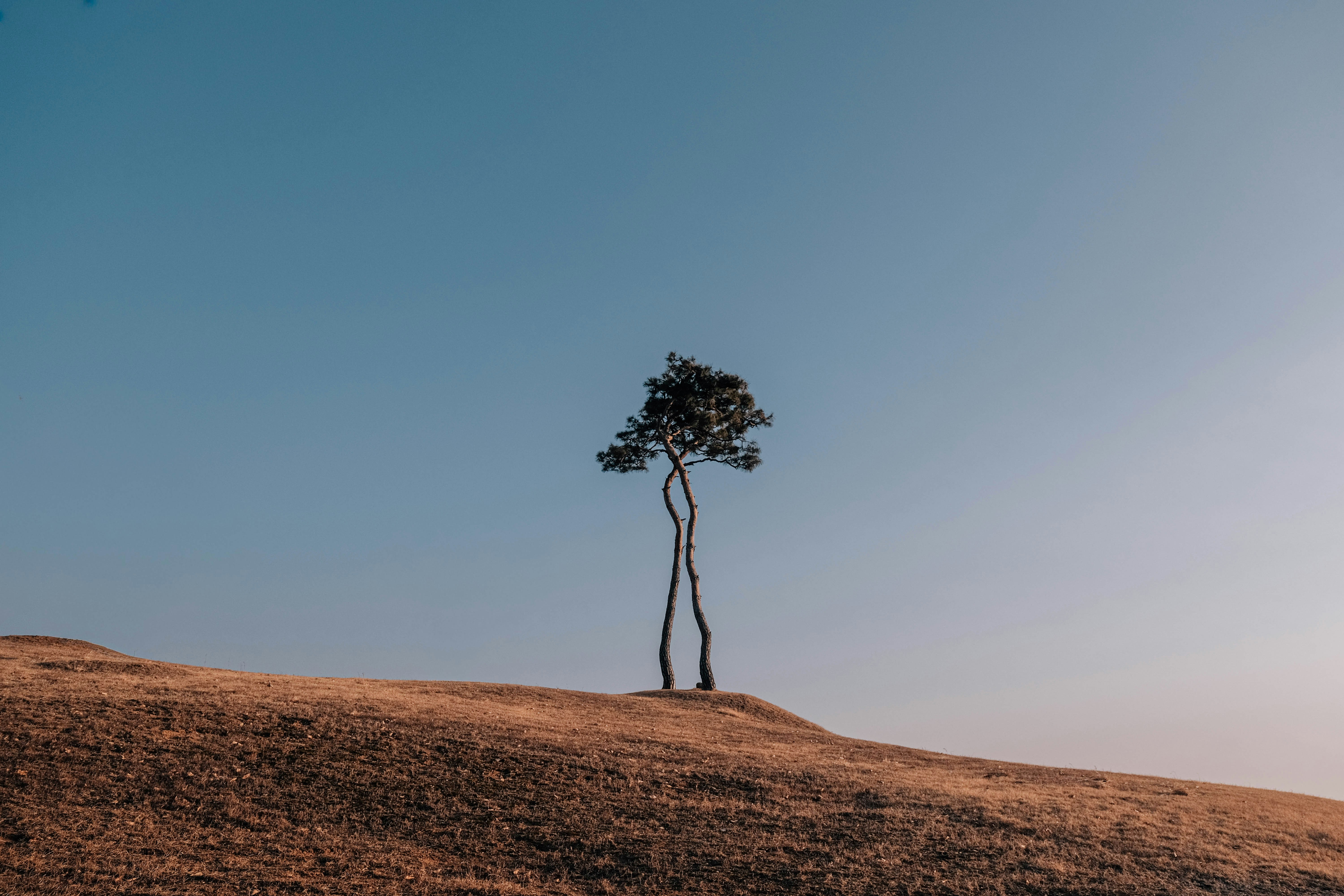 Photo by insungpandora