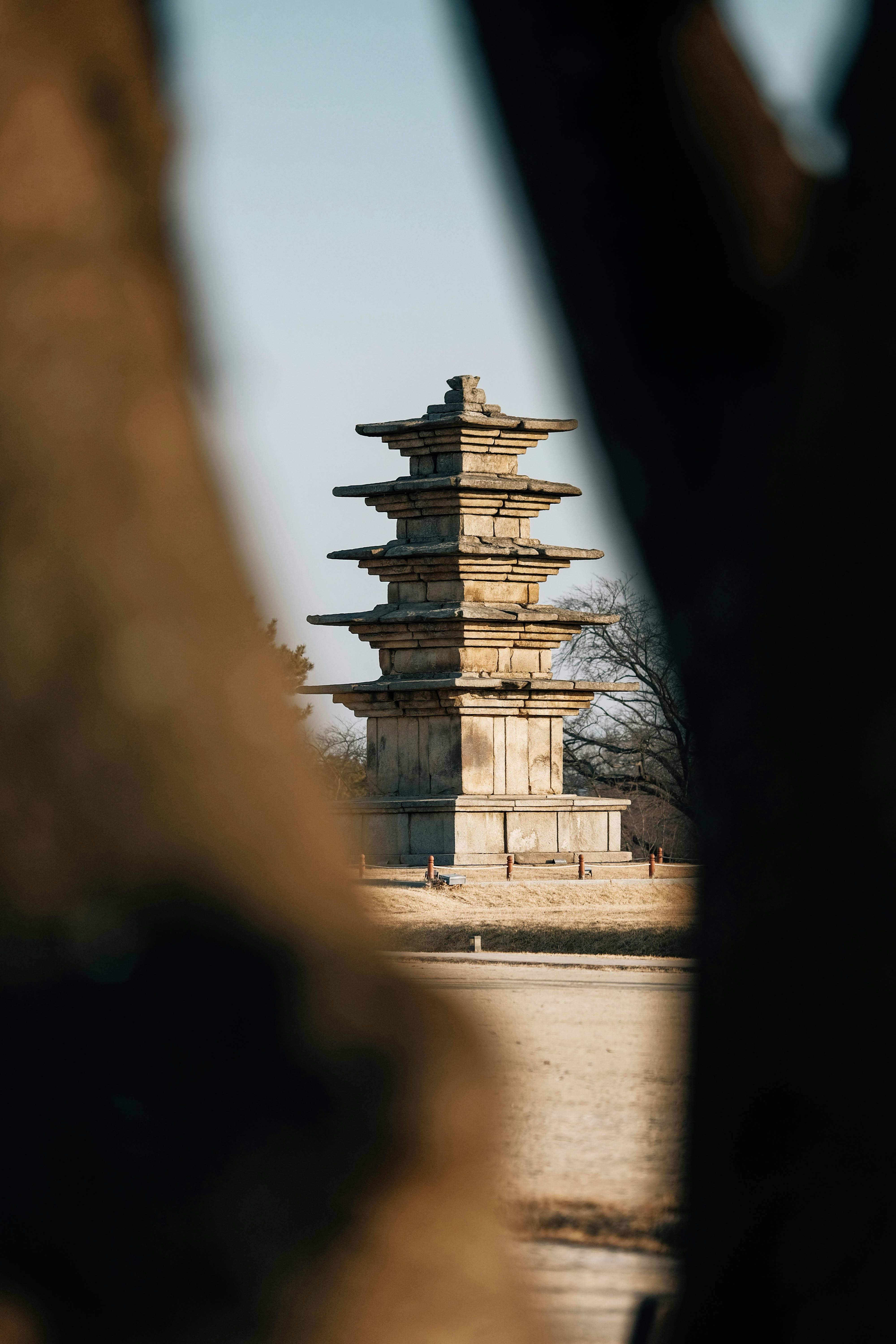 澄んだ空を背景に木の枝に縁取られた石の塔