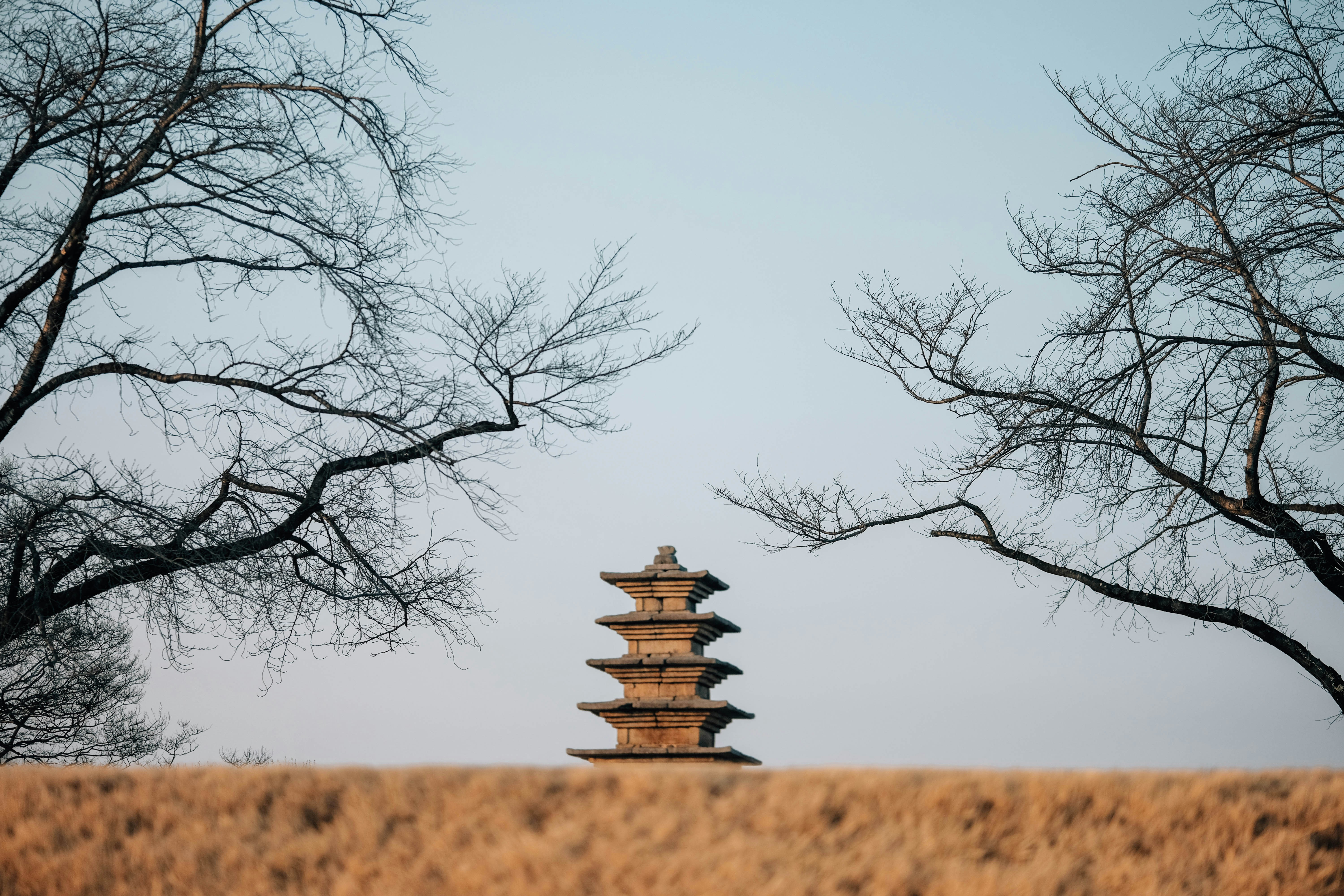 石の塔は乾いた草と裸の木々の間にそびえ立っています。