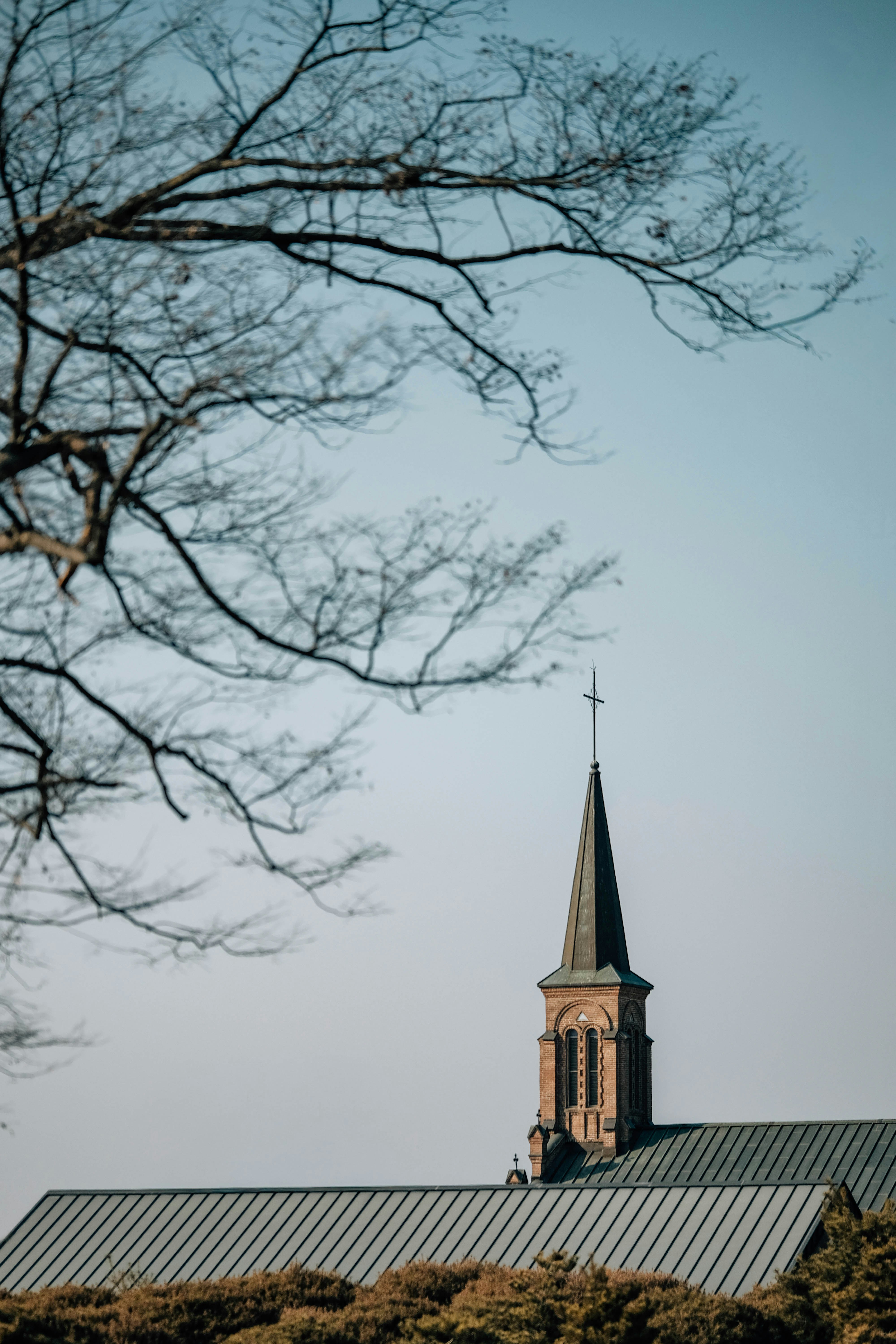 澄んだ空を背景にした教会の尖塔と屋根