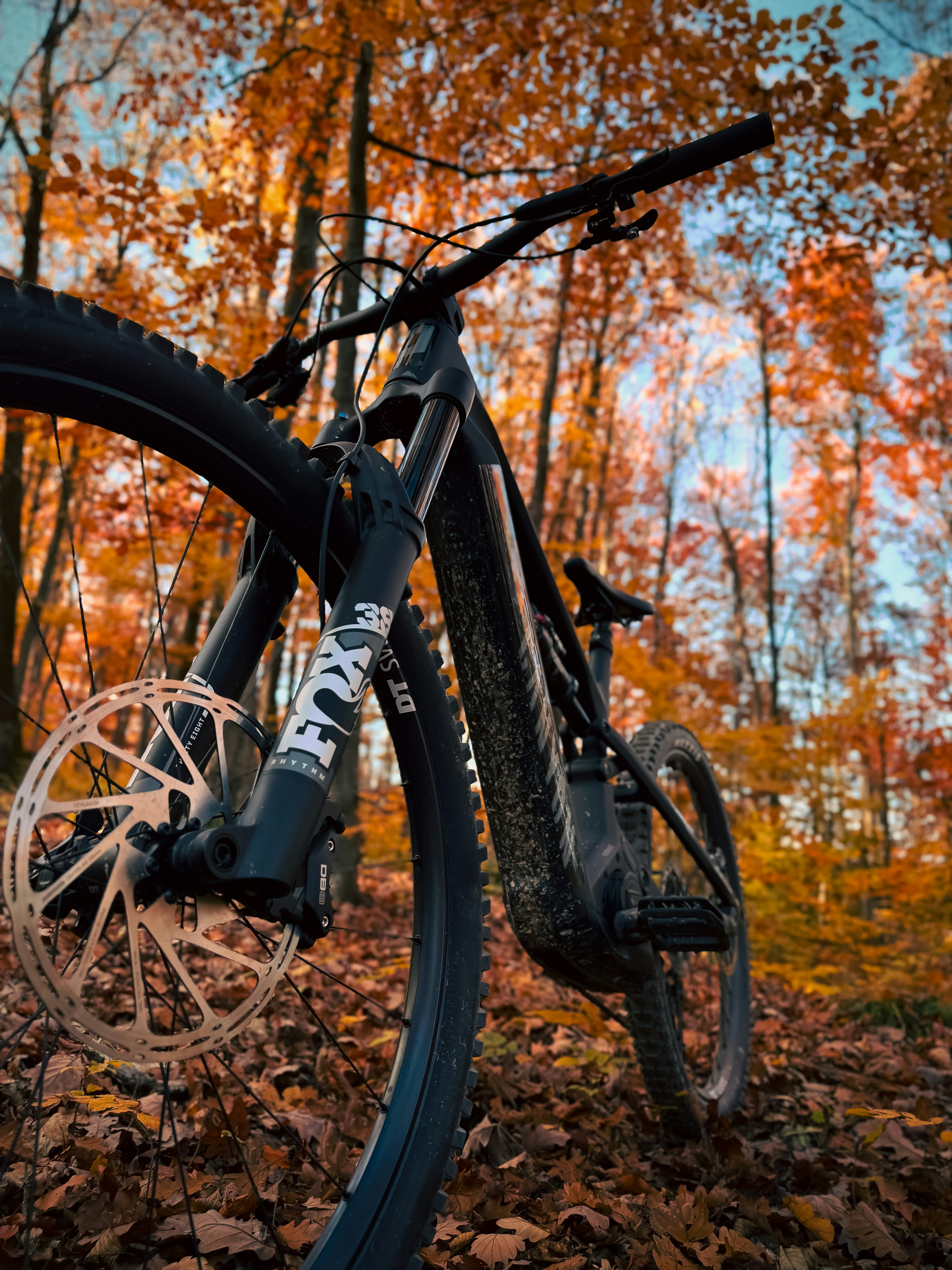 Mountain bike in autumn forest with colorful leaves