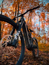 Mountain bike in autumn forest with colorful leaves