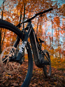Mountain bike in autumn forest with colorful leaves