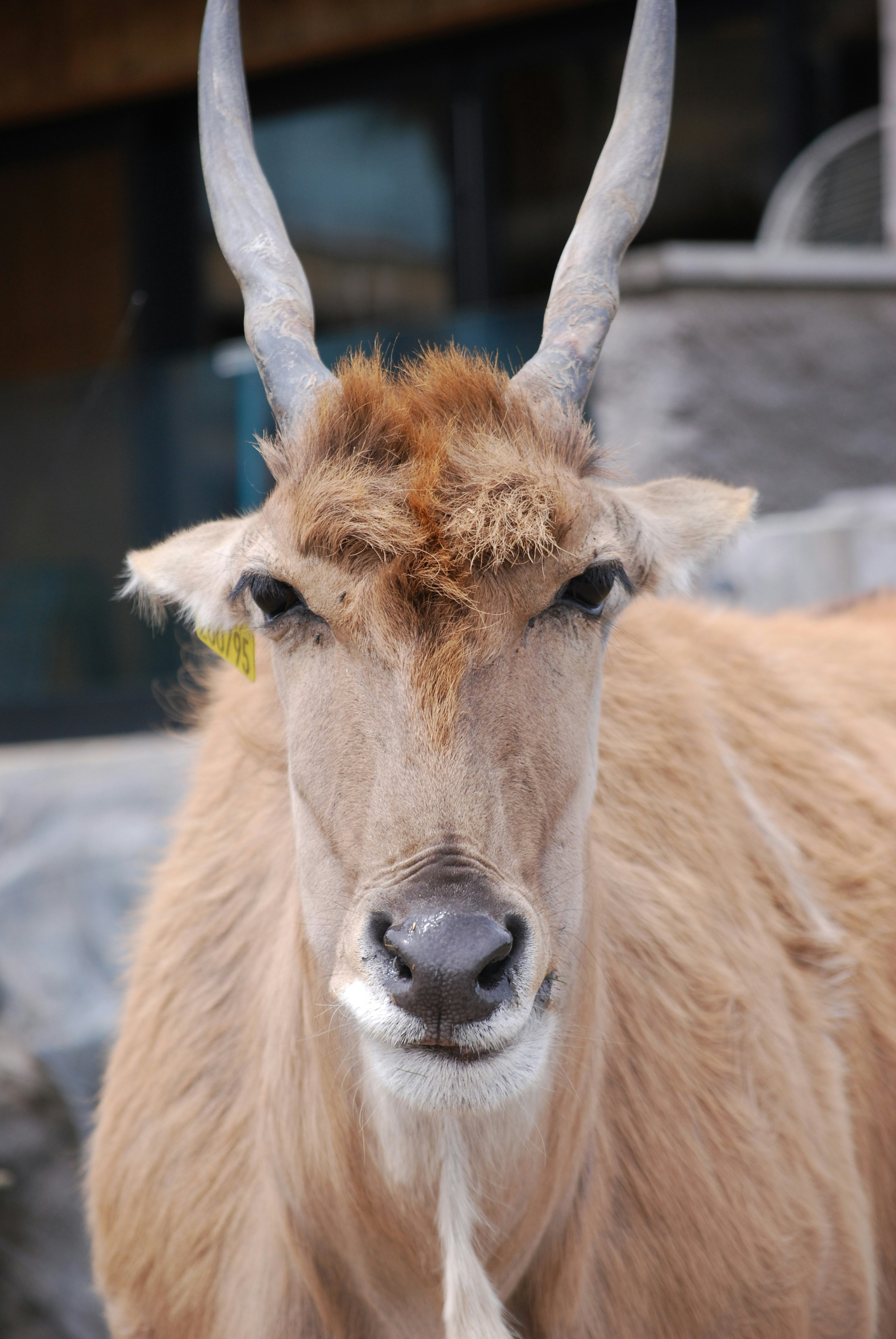 Photo by hazer677744