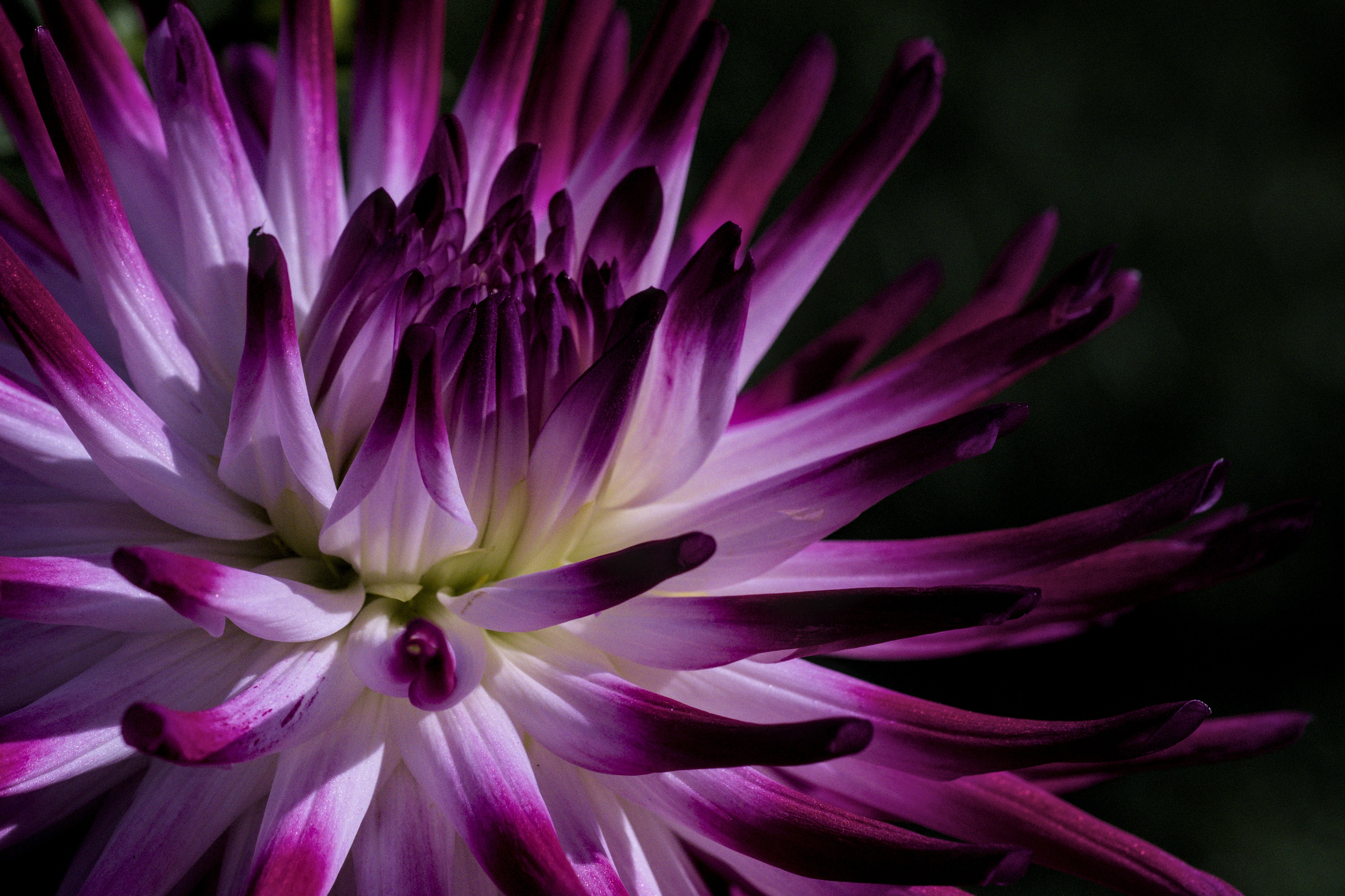 Photo by christian_keybets