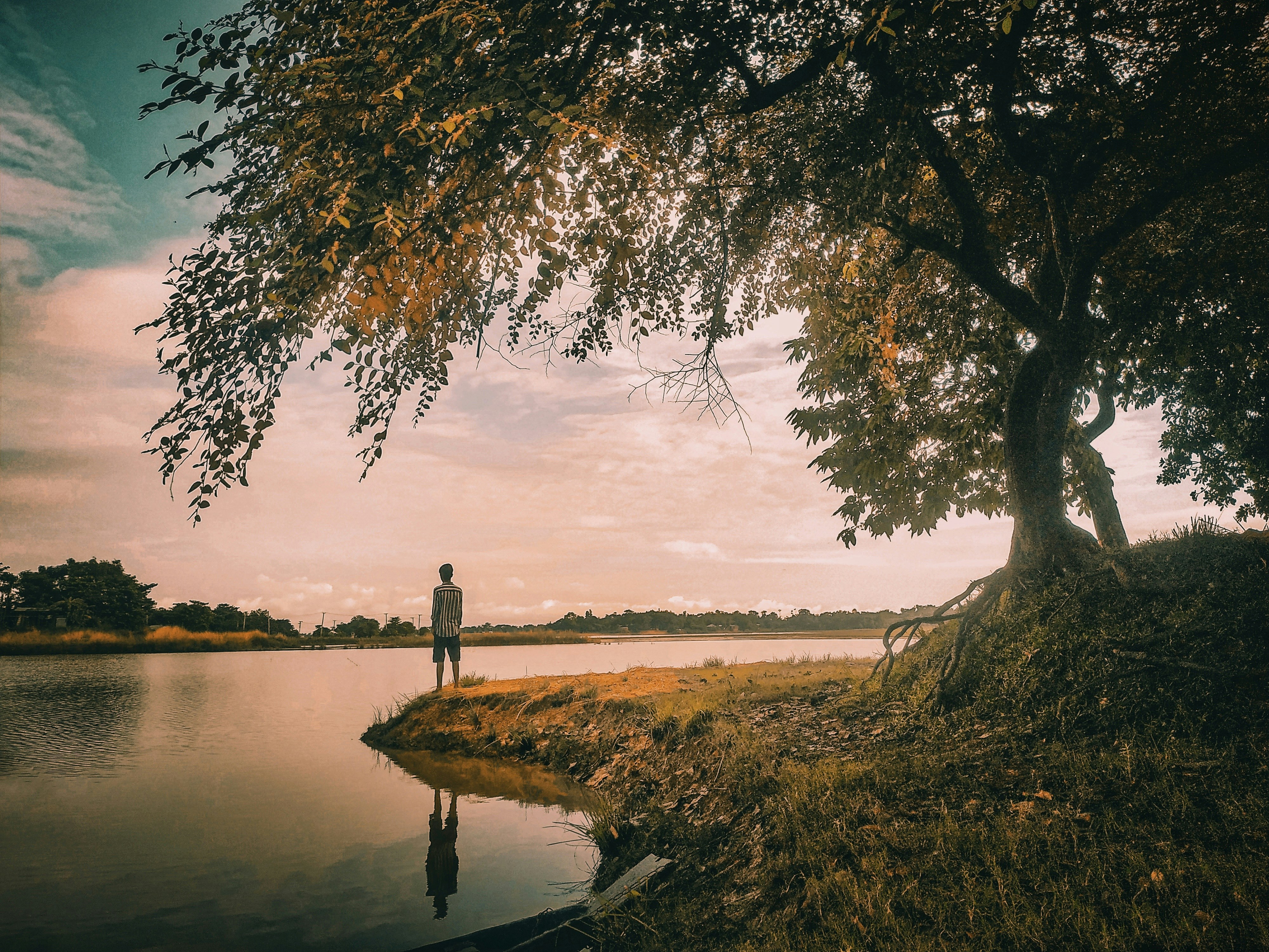 Photo by sojibbaidya