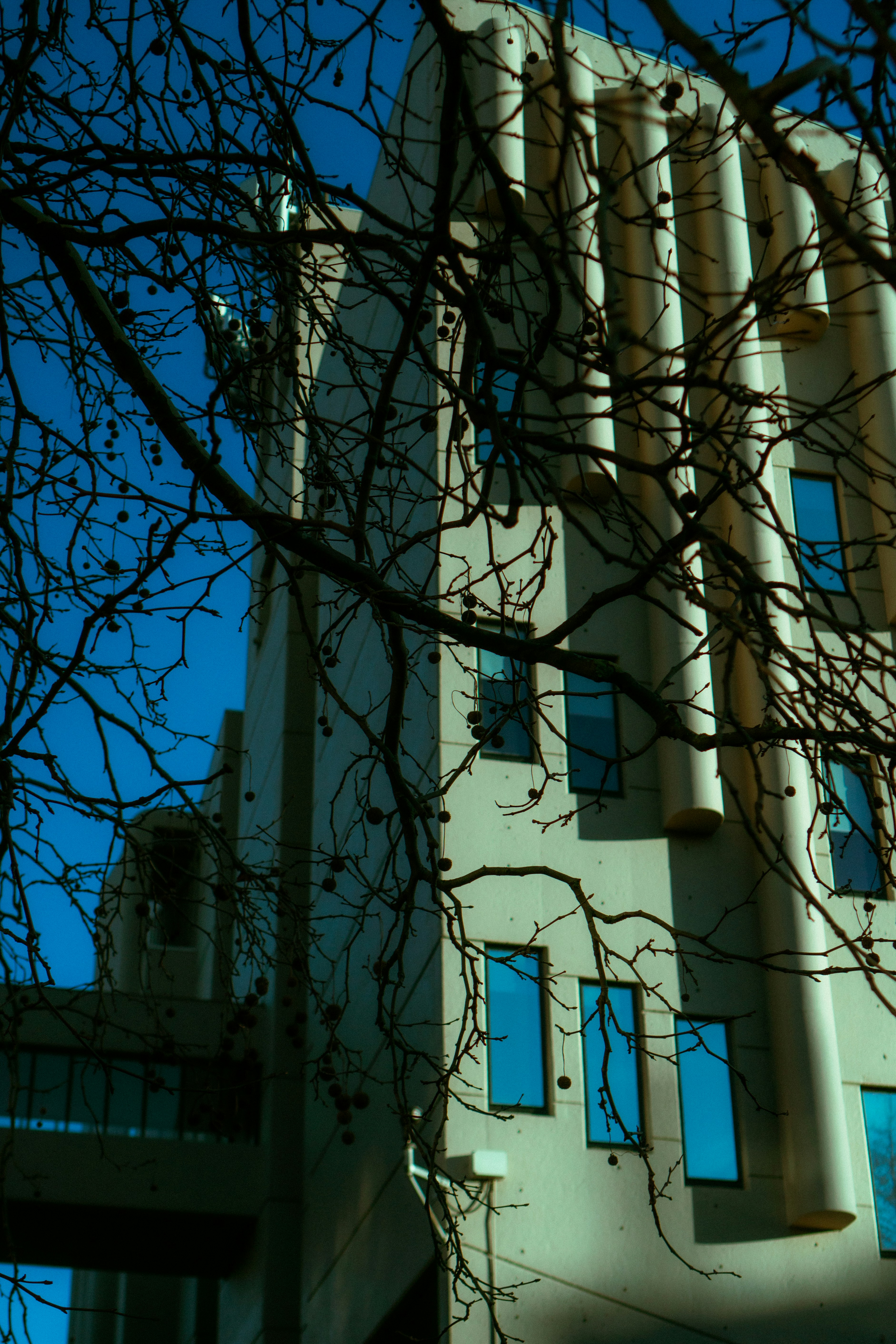 Photo by melatonical