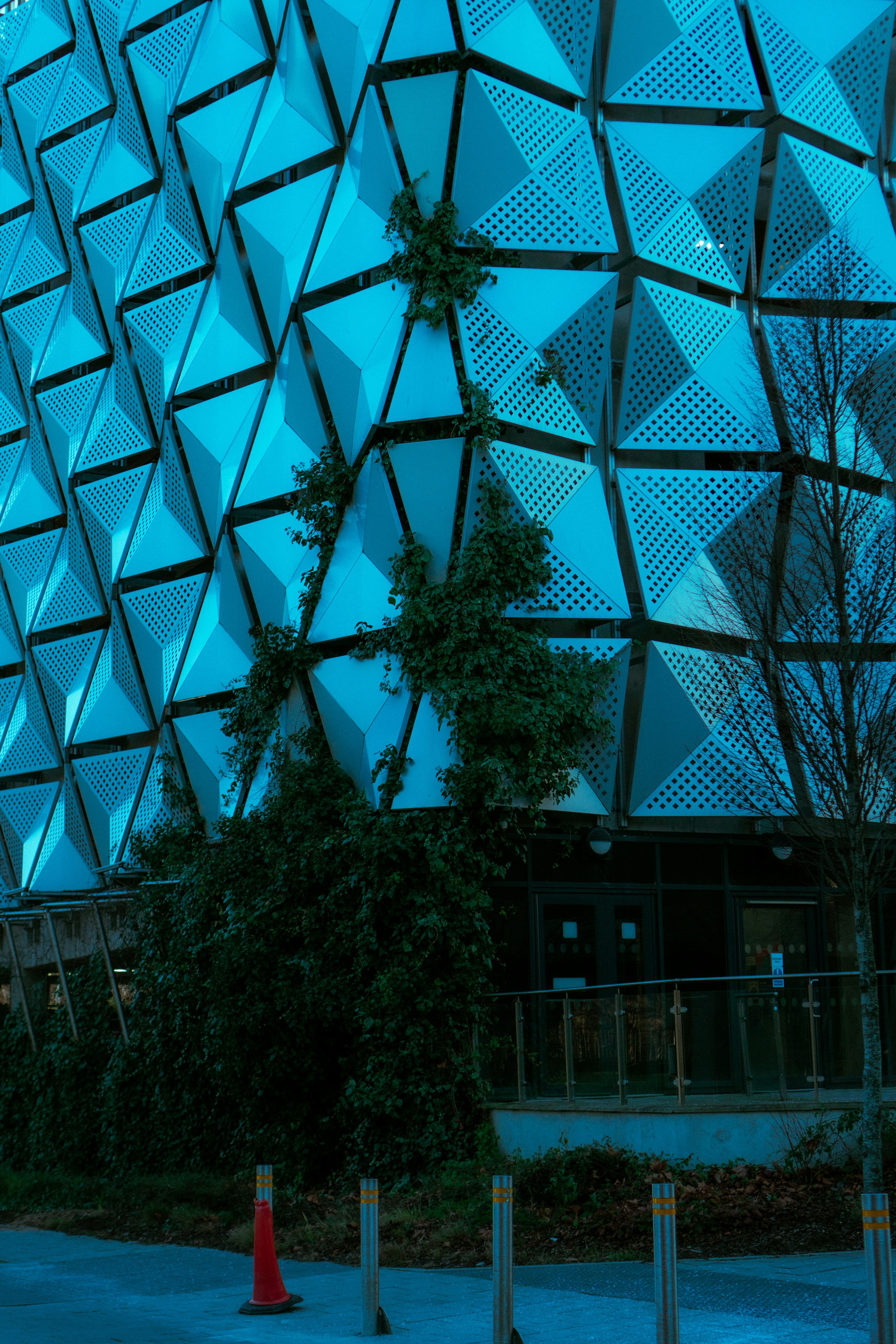 Fachada moderna de edificio con patrones geométricos y enredaderas