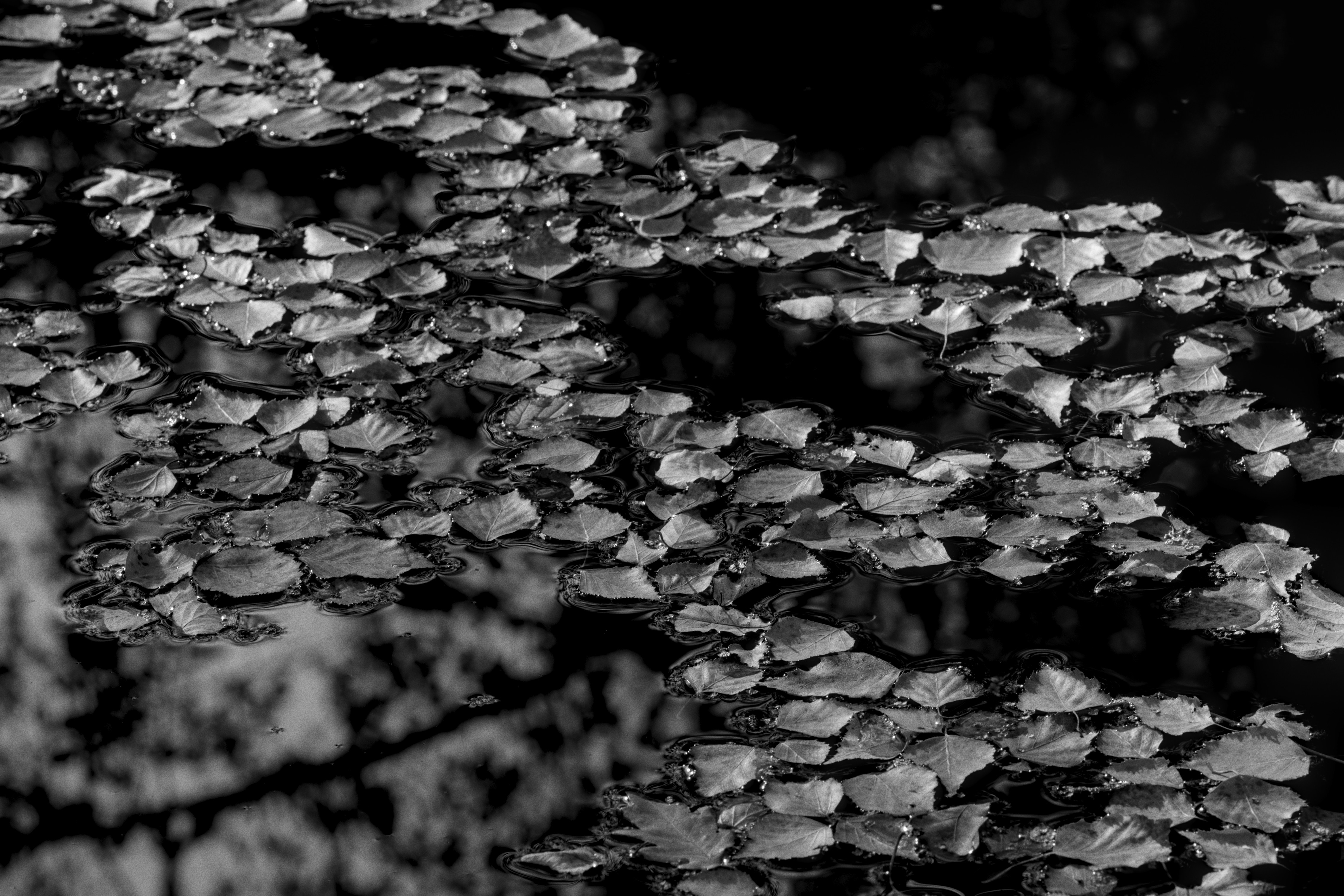 Photo by christian_keybets