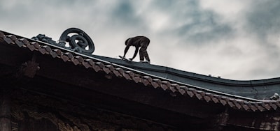 A monkey on a traditional asian roof