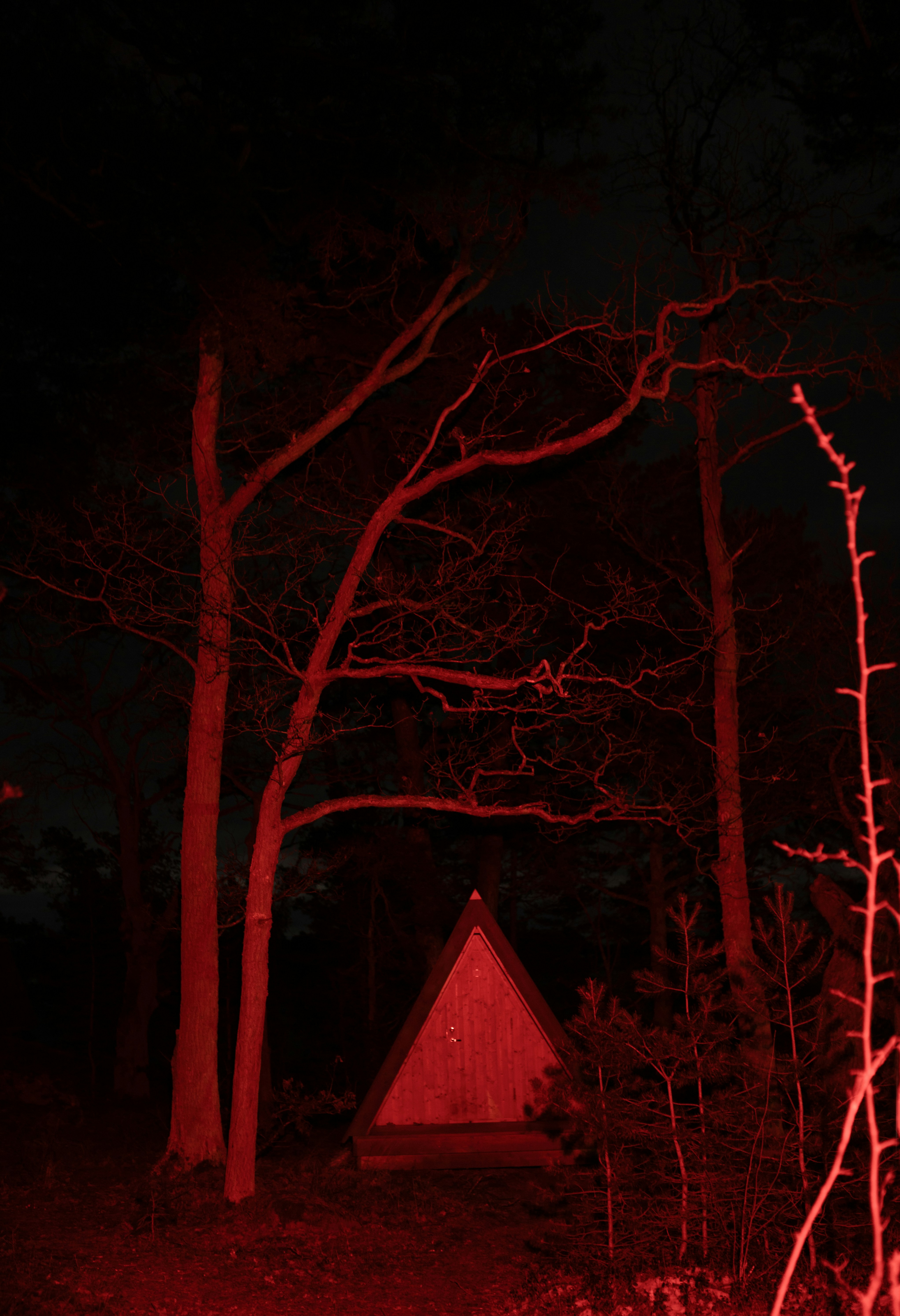Red illuminated triangular structure in a dark forest