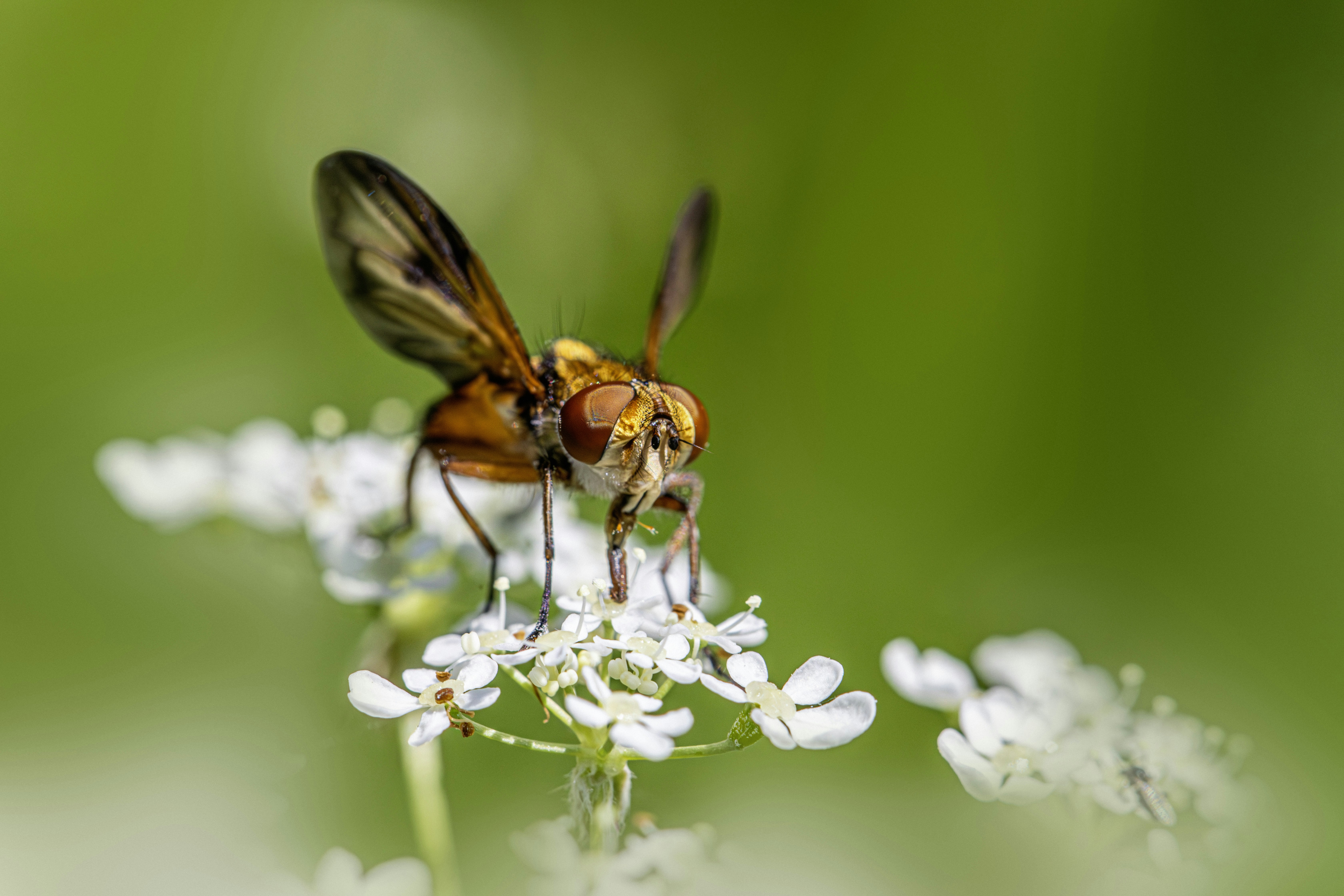 Photo by erik_karits