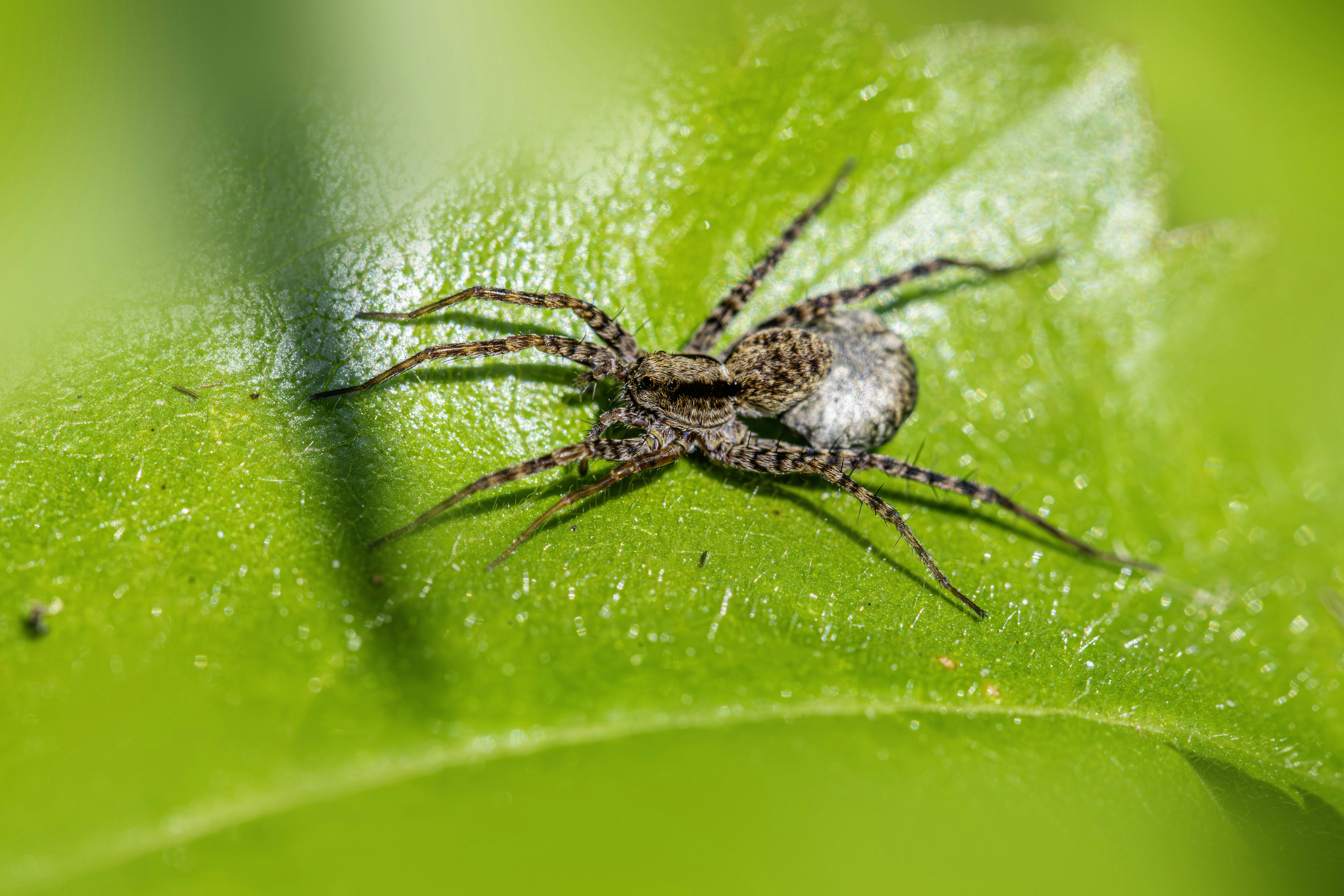 Photo by erik_karits