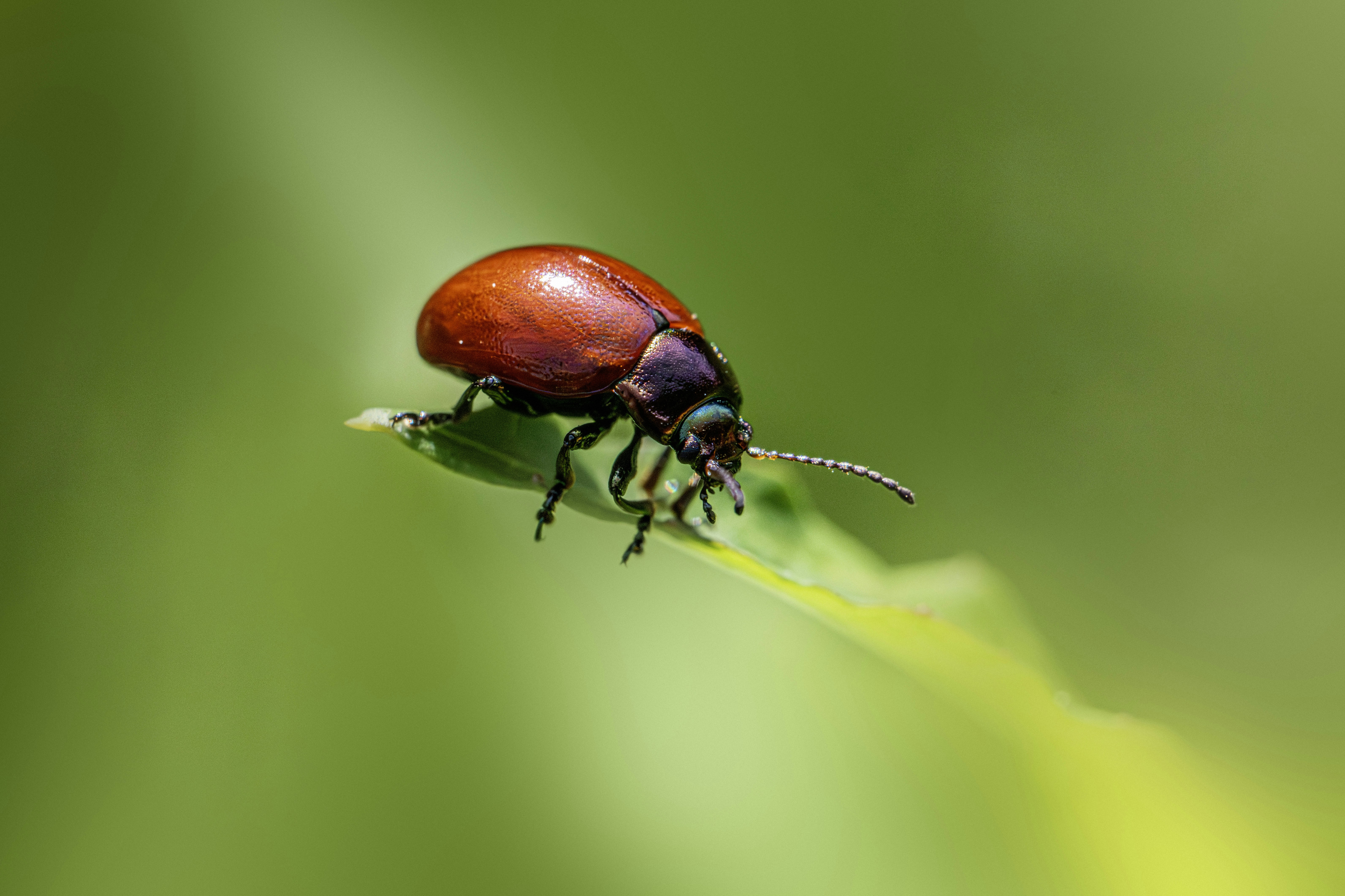 Photo by erik_karits