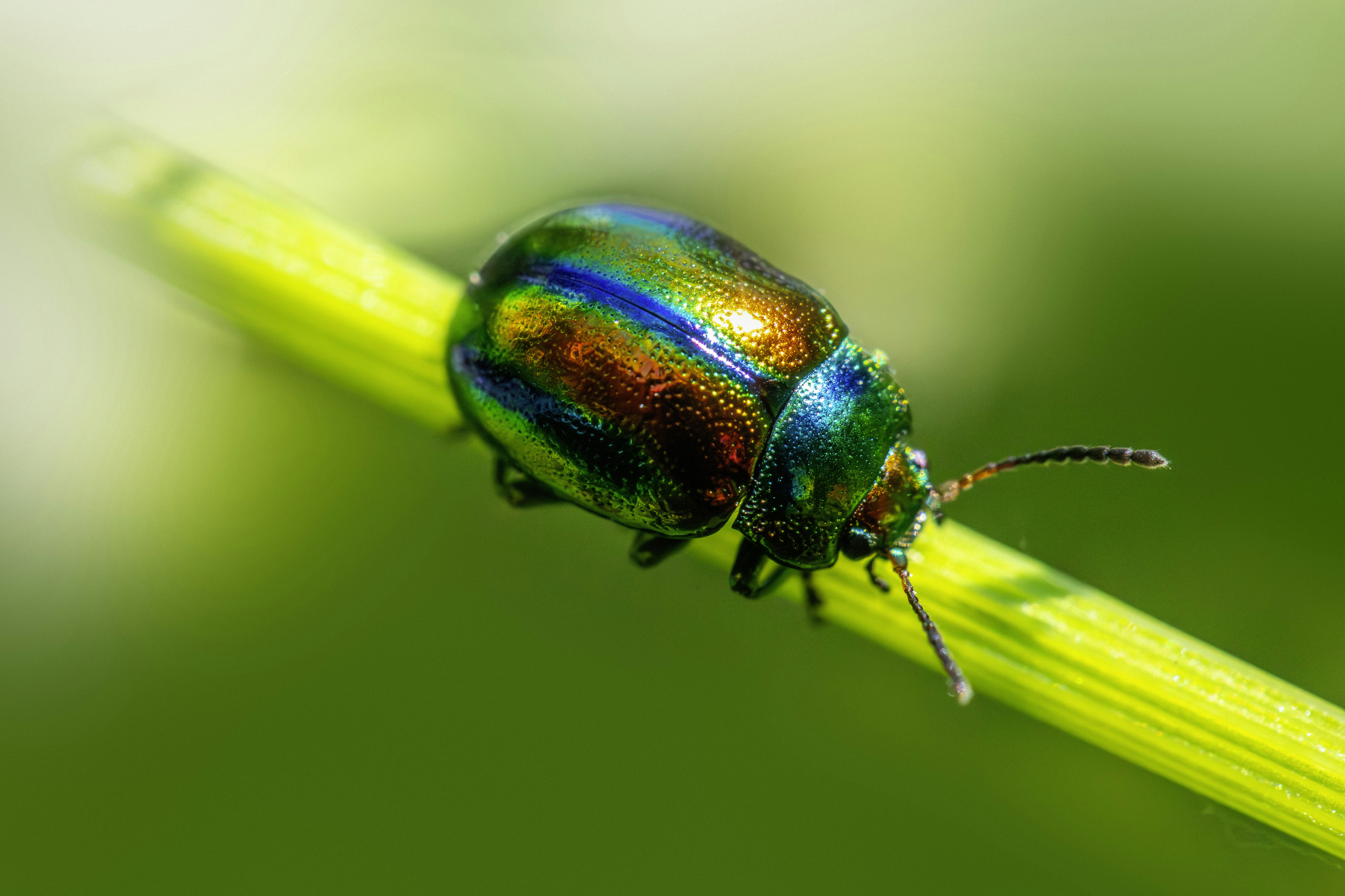 Photo by erik_karits