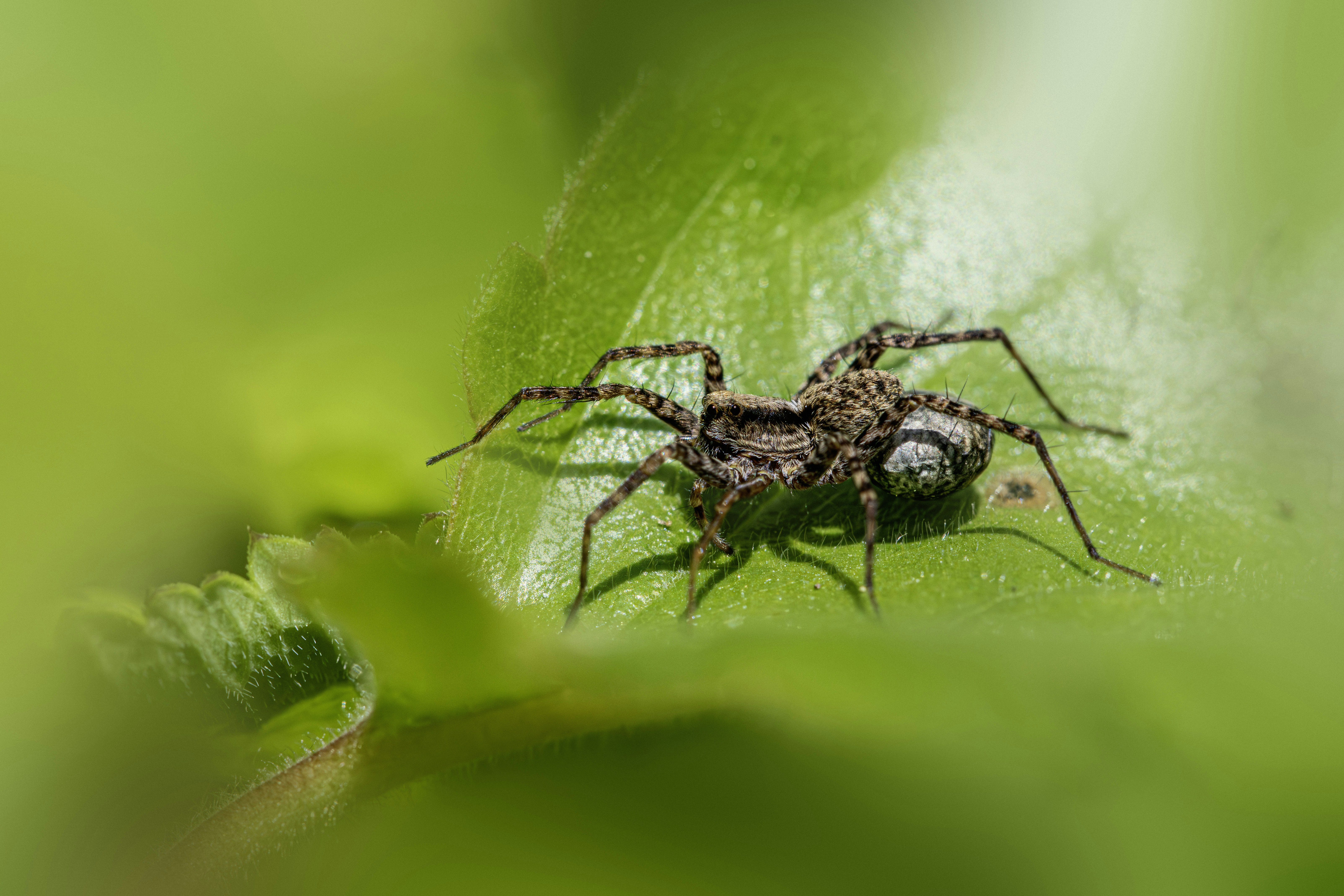 Photo by erik_karits