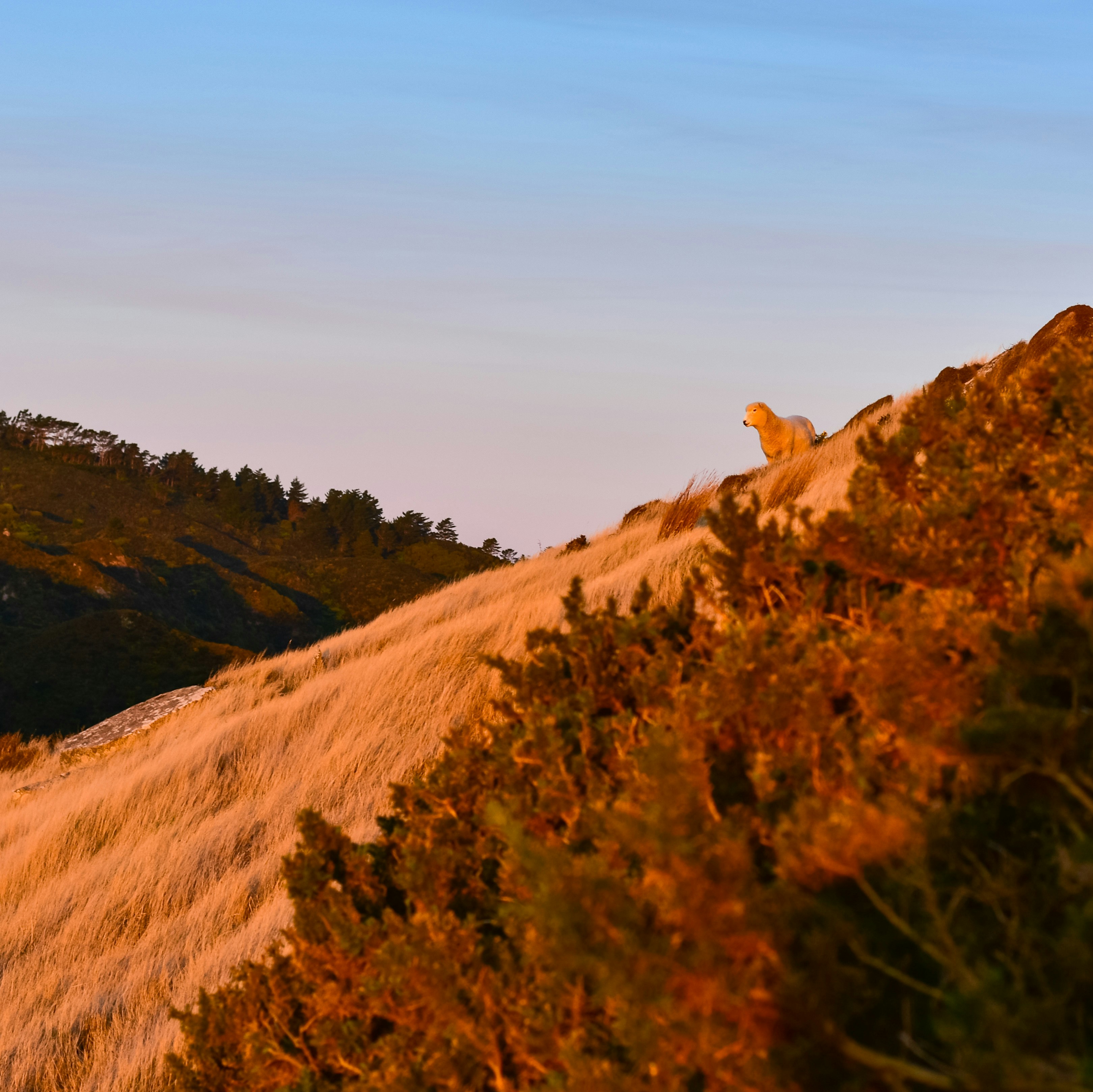 Photo by sschusterphotoart